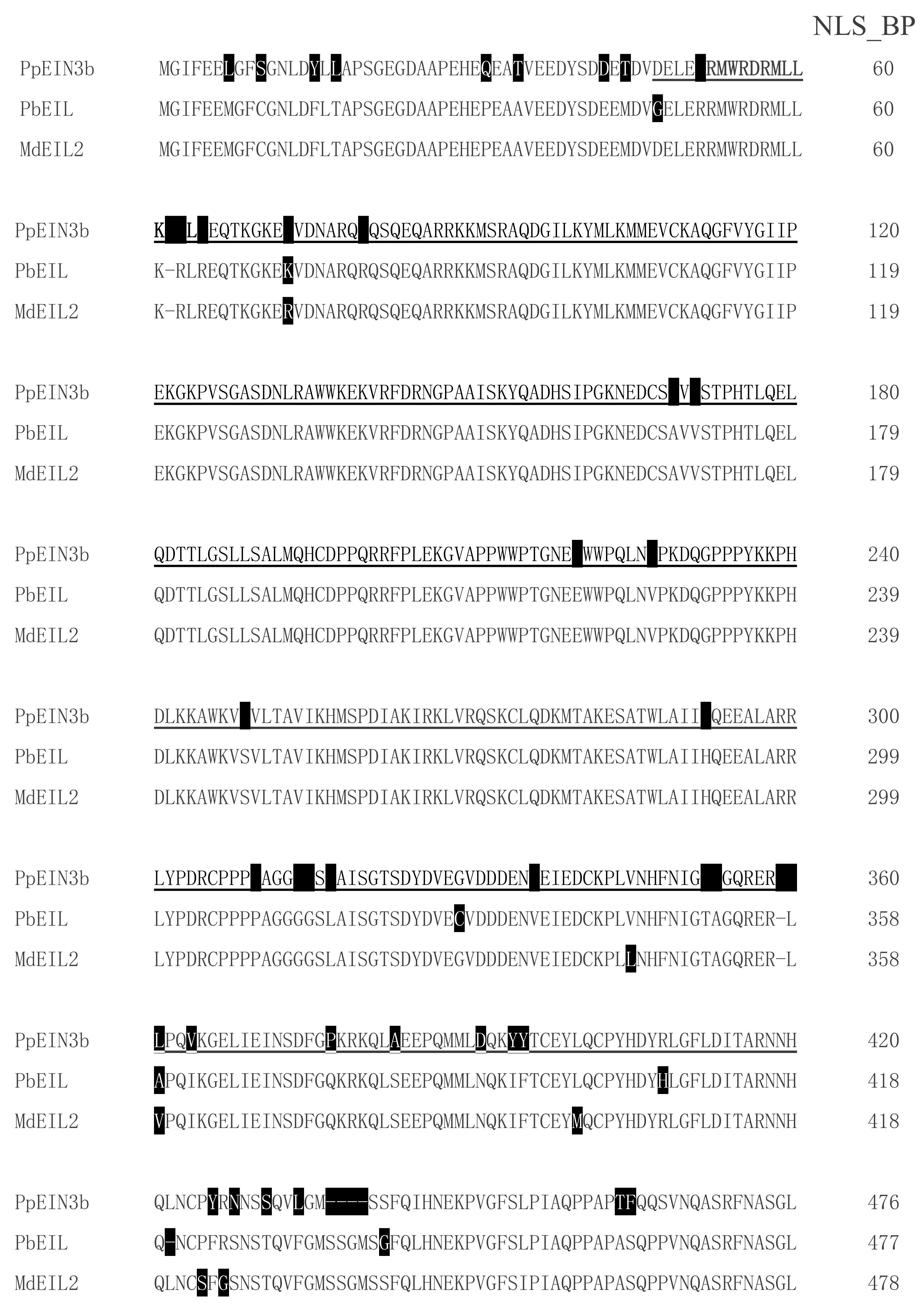 Genes 10 00476 g001a Genes 10 00476 g001a