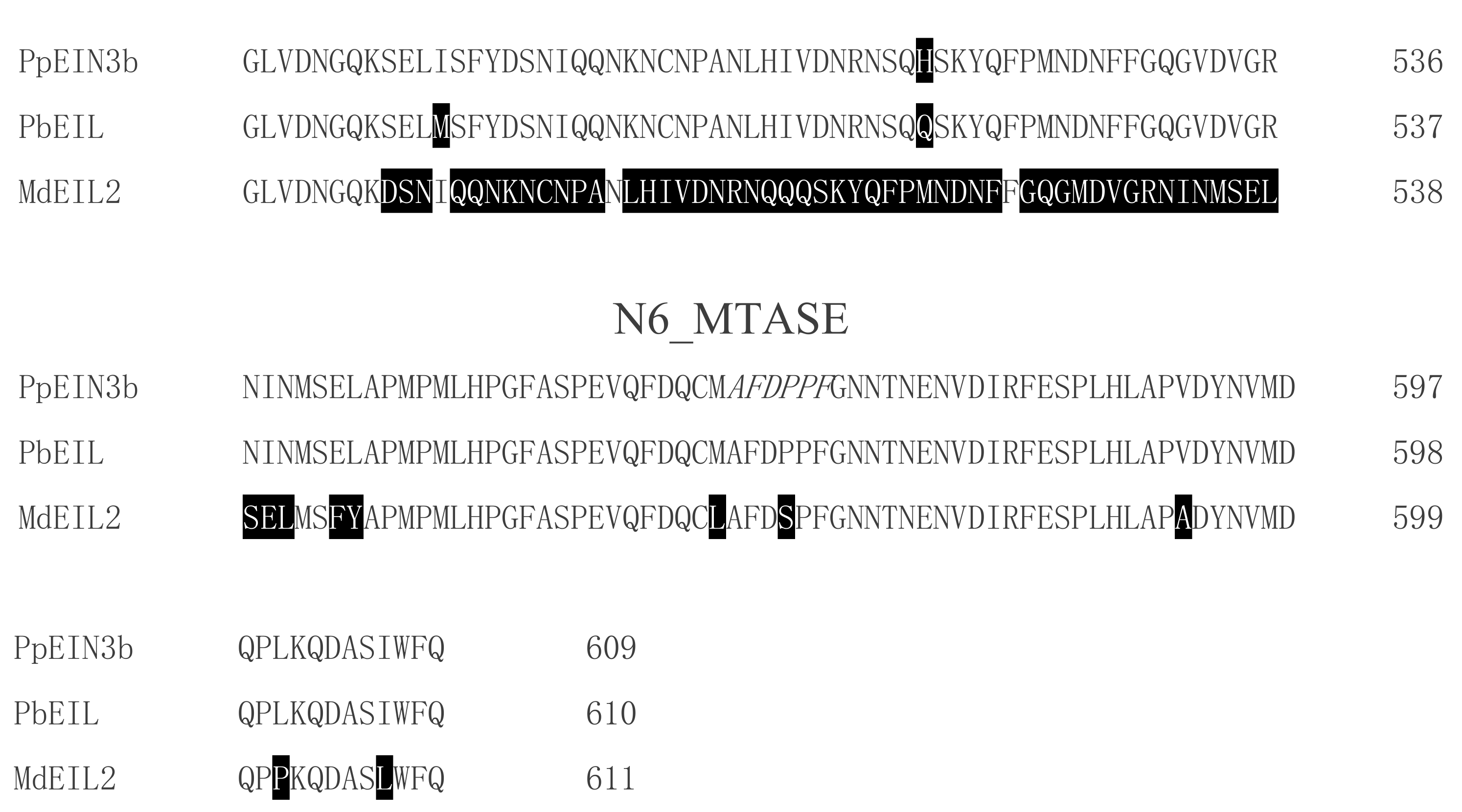 Genes 10 00476 g001b Genes 10 00476 g001b