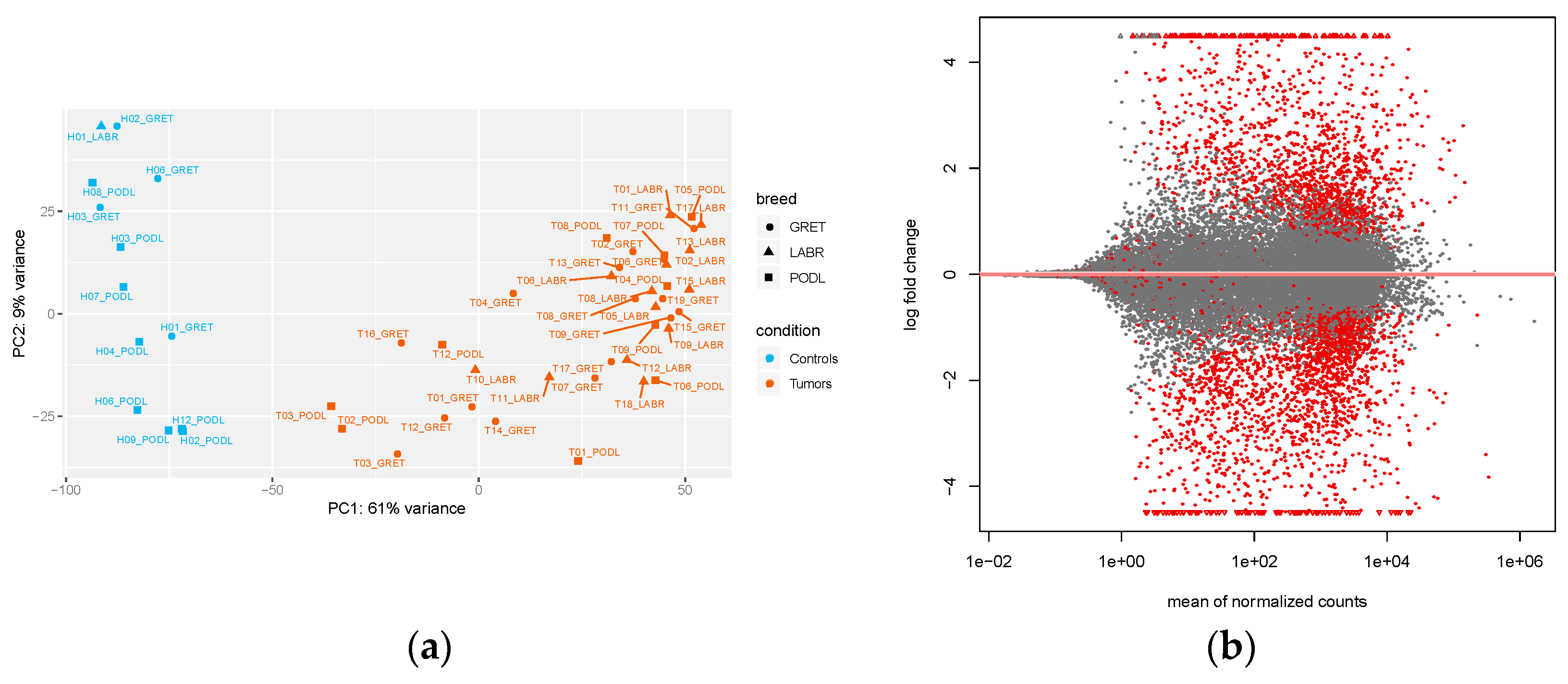 Genes 10 00477 g001