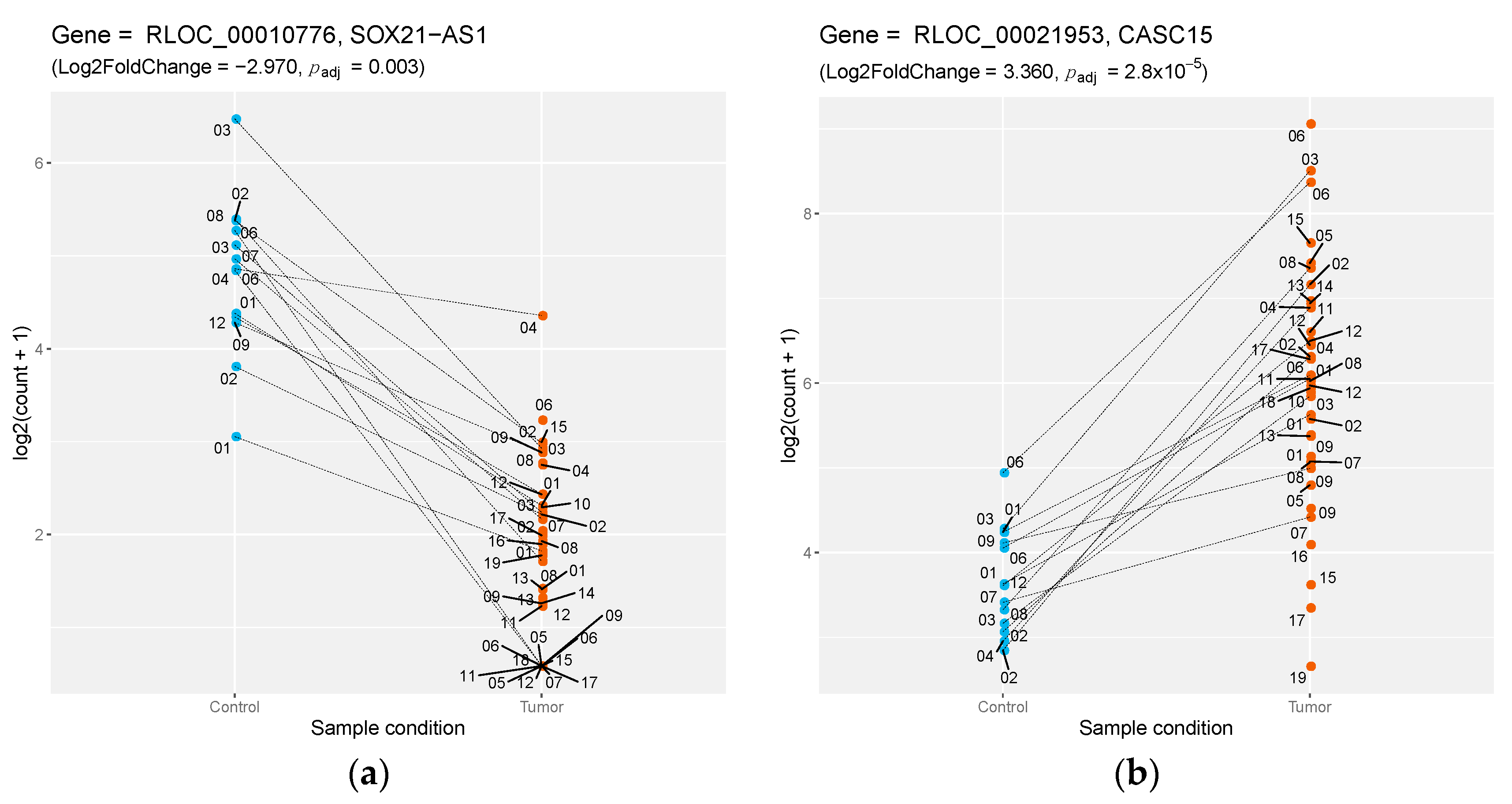 Genes 10 00477 g002