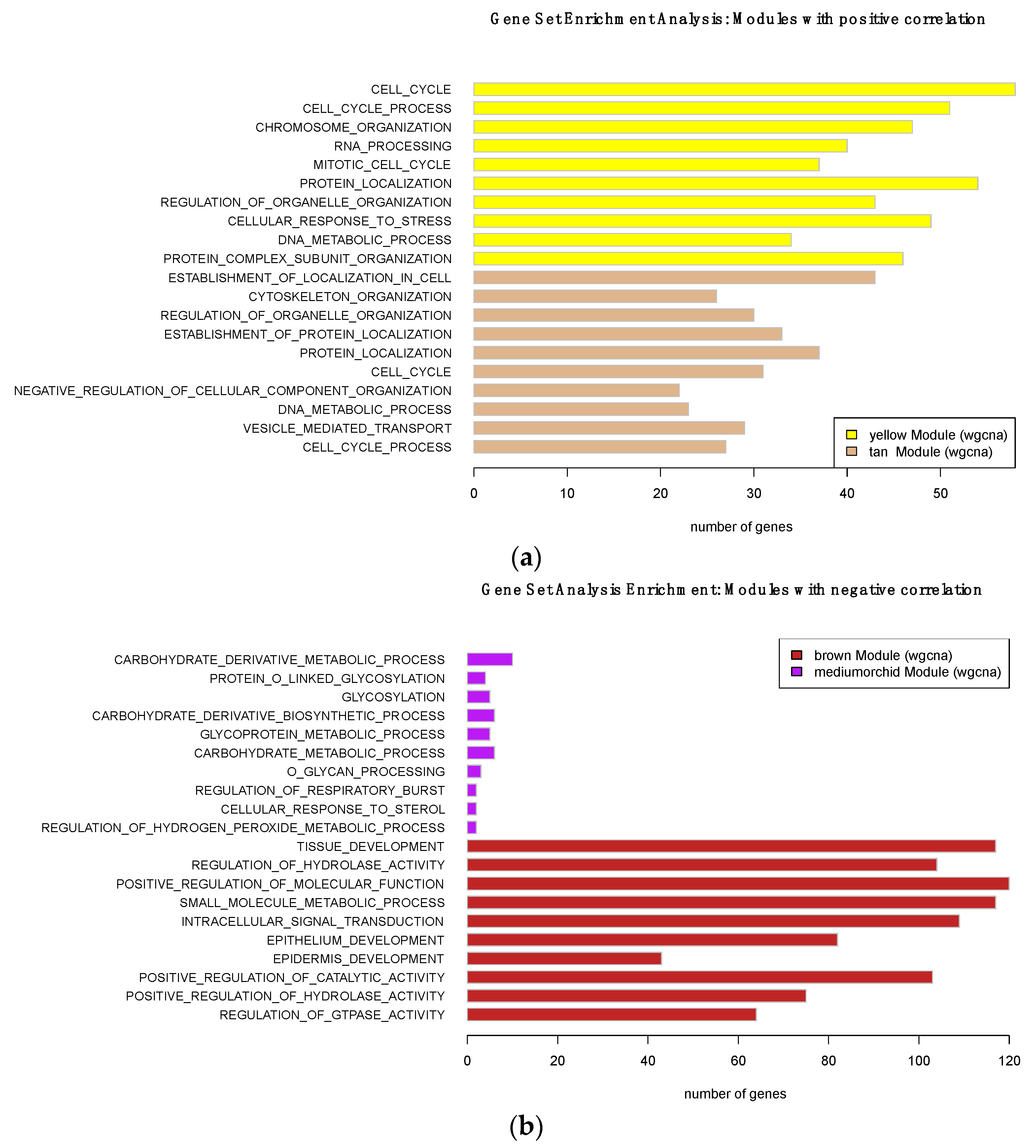Genes 10 00477 g005