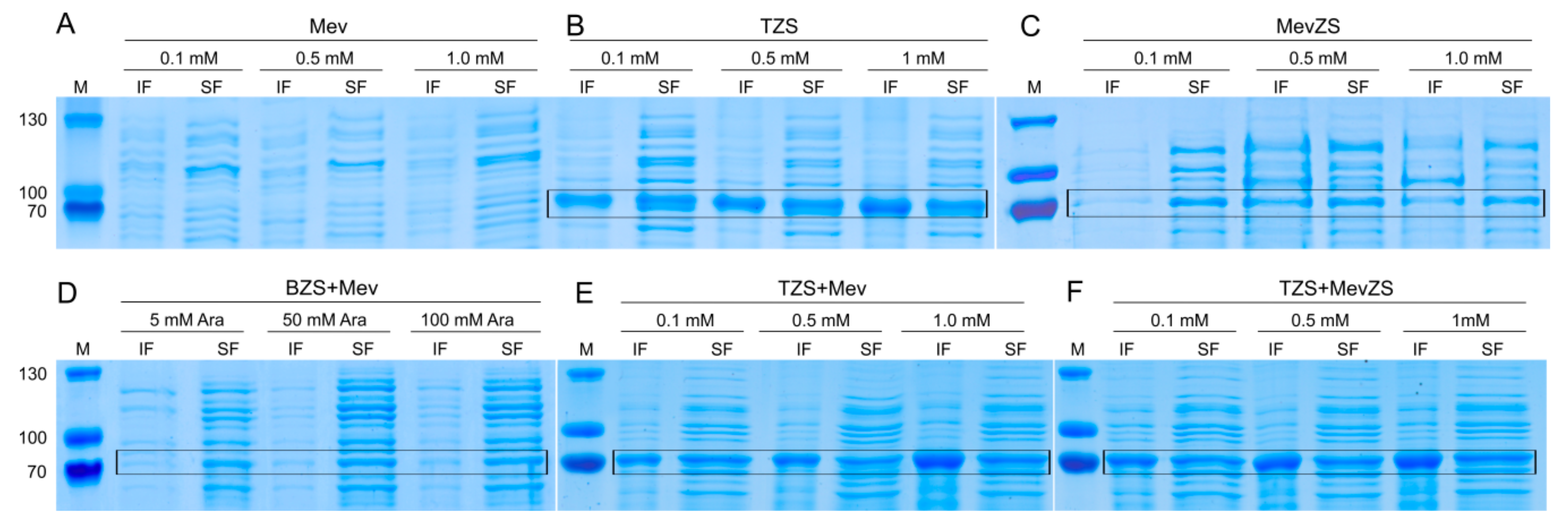 Genes 10 00478 g004 Genes 10 00478 g004