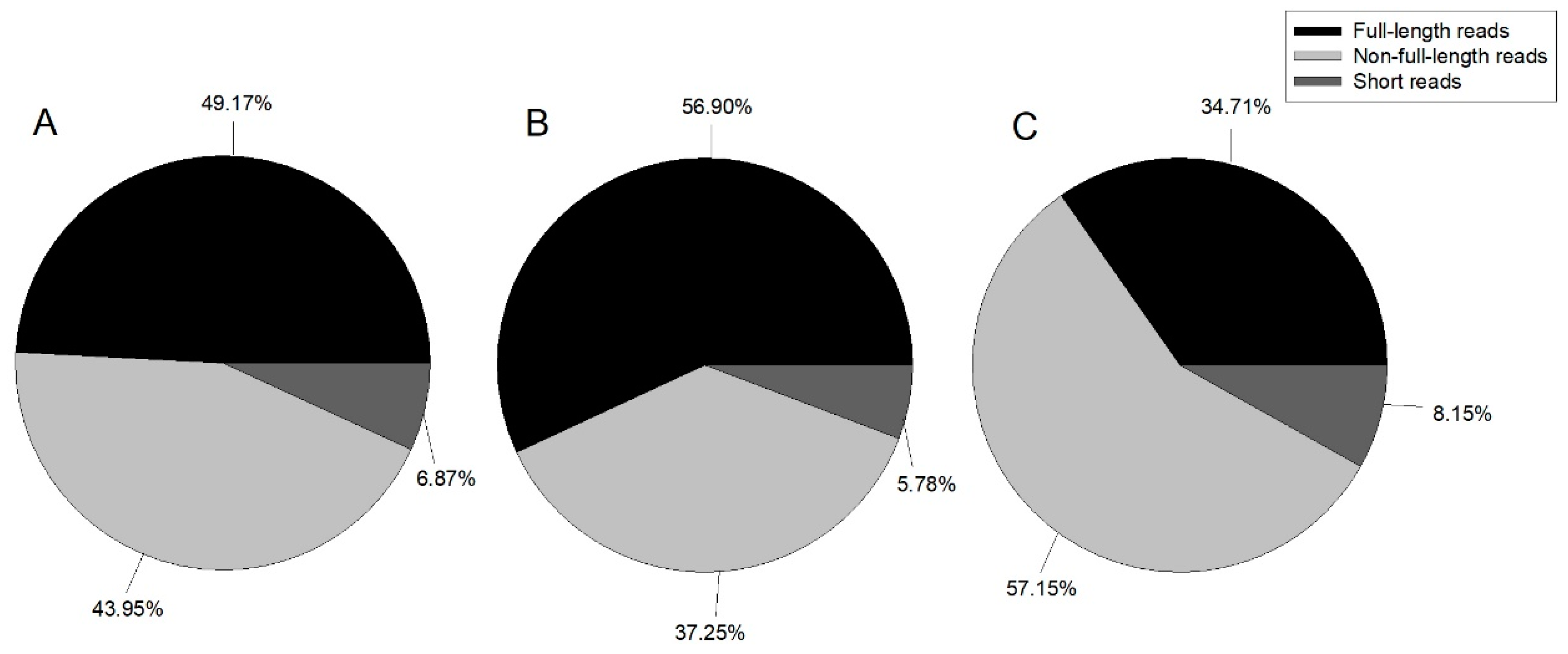 Genes 10 00481 g001 550