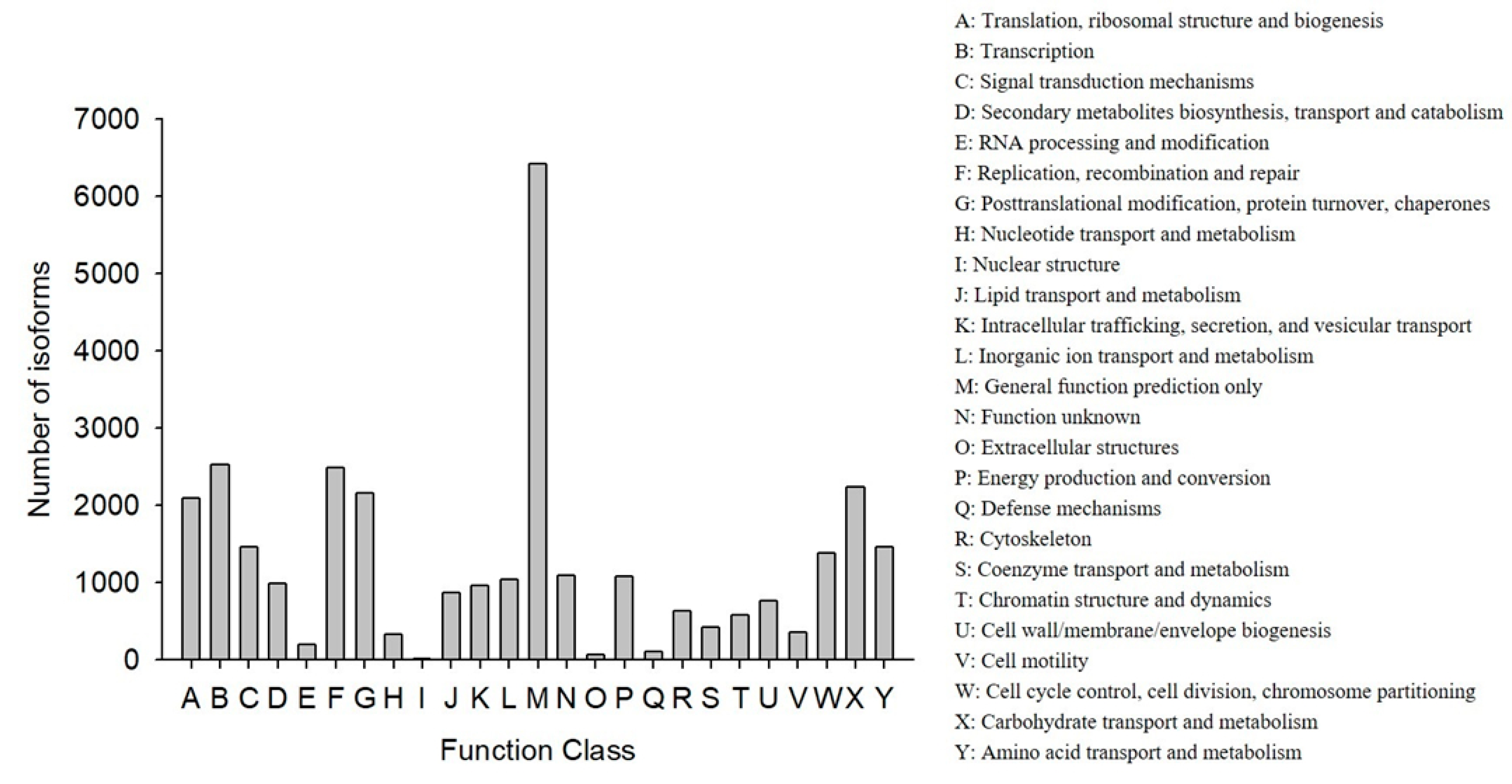 Genes 10 00481 g003 550