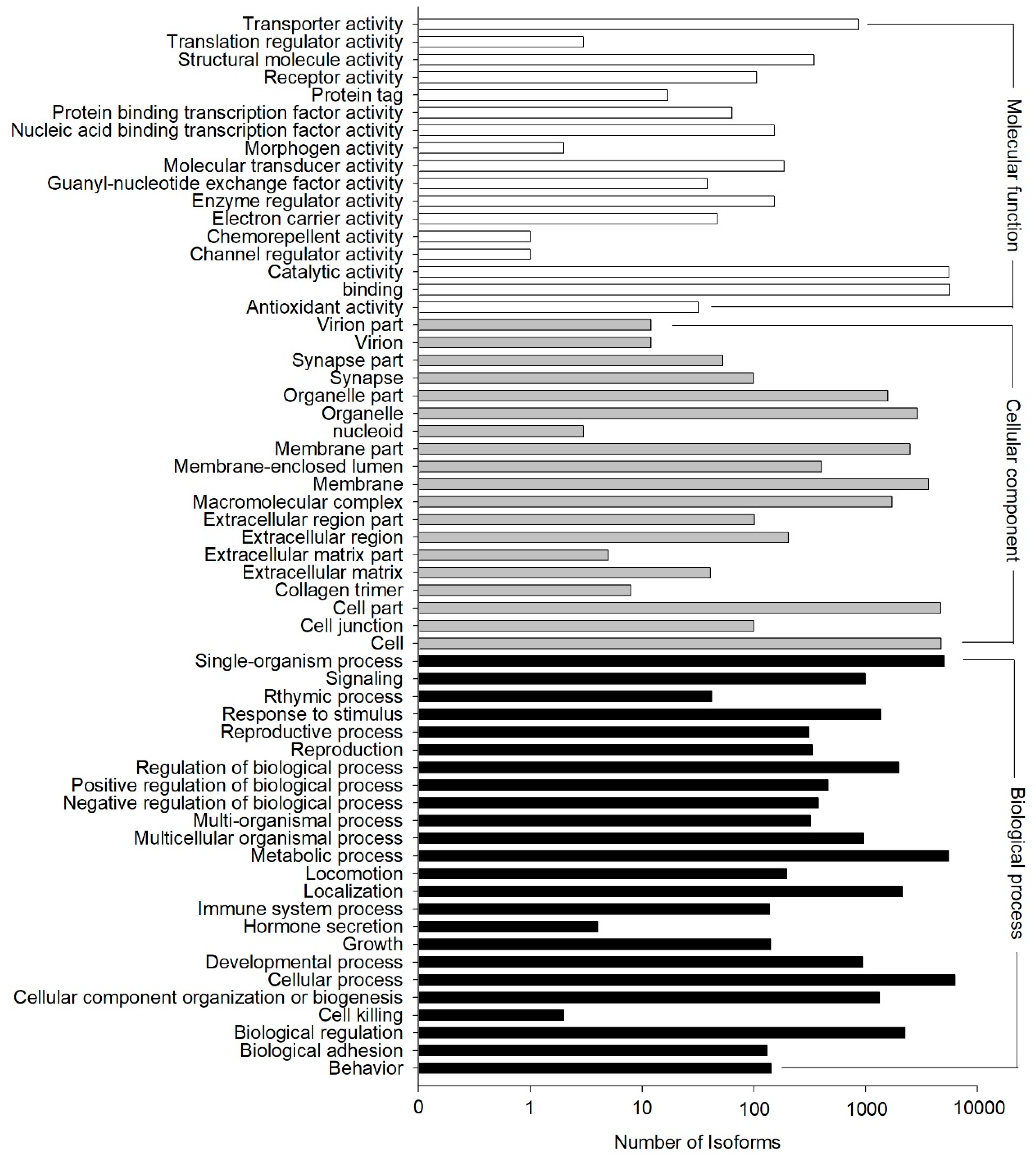 Genes 10 00481 g004 550