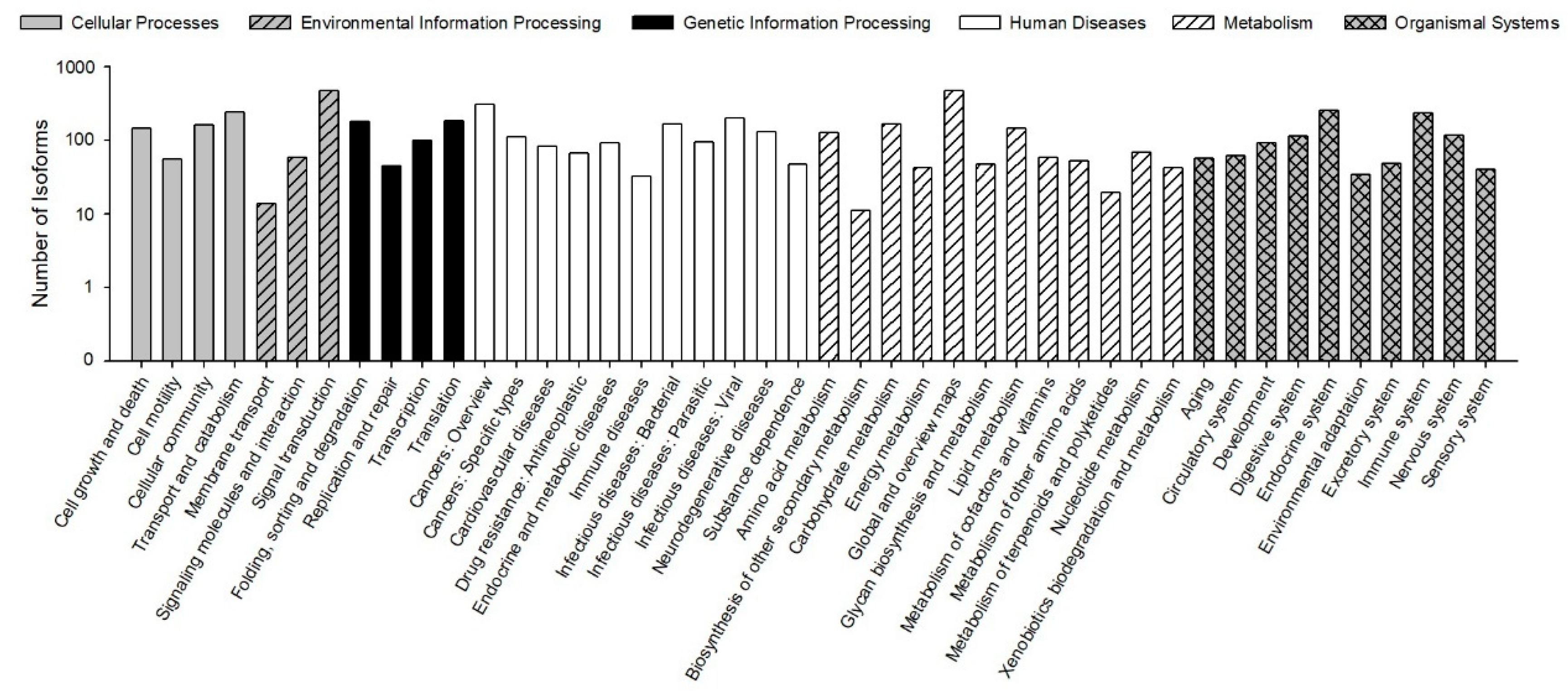 Genes 10 00481 g005 550