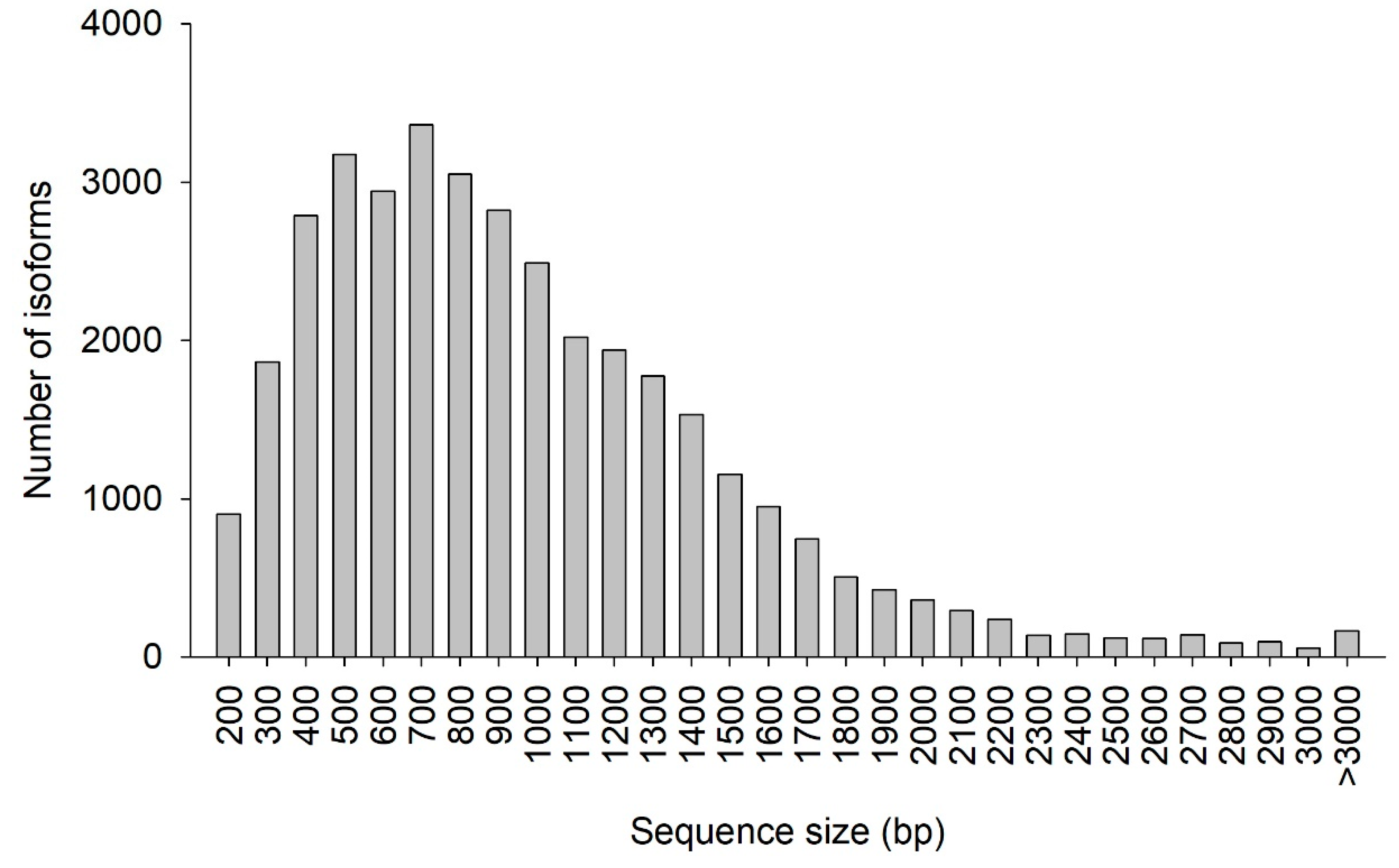 Genes 10 00481 g006 550