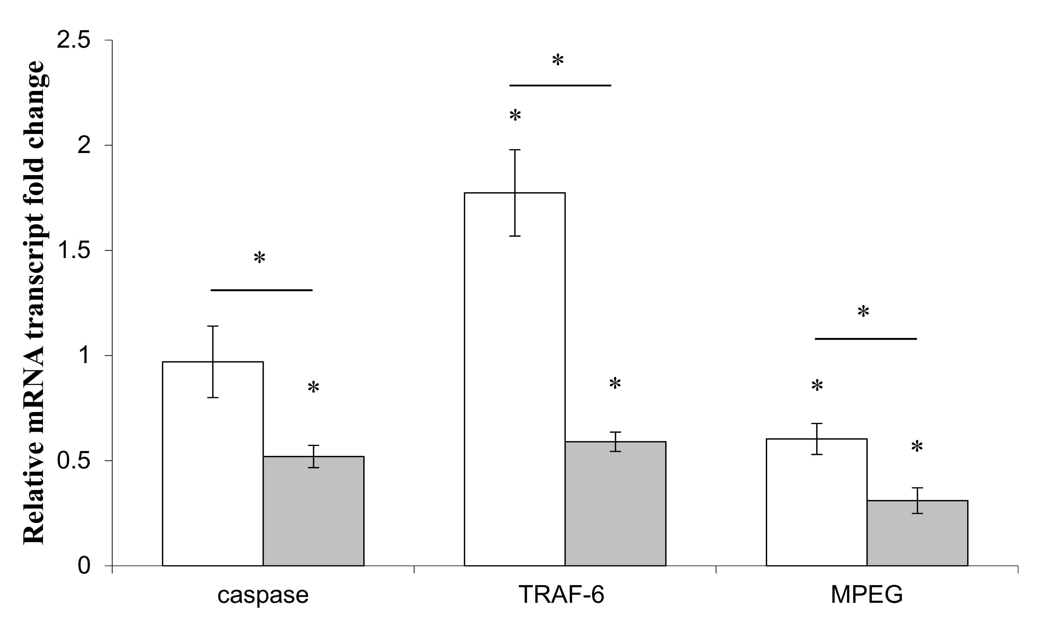 Genes 10 00485 g003