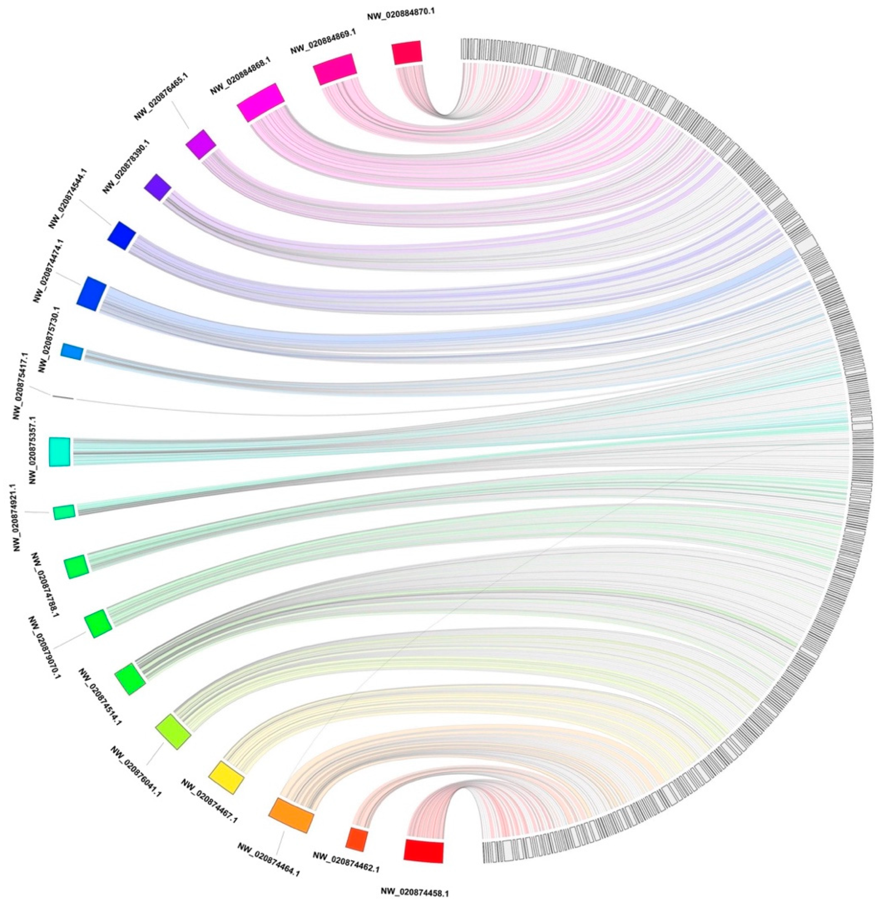 Genes 10 00486 g001 Genes 10 00486 g001