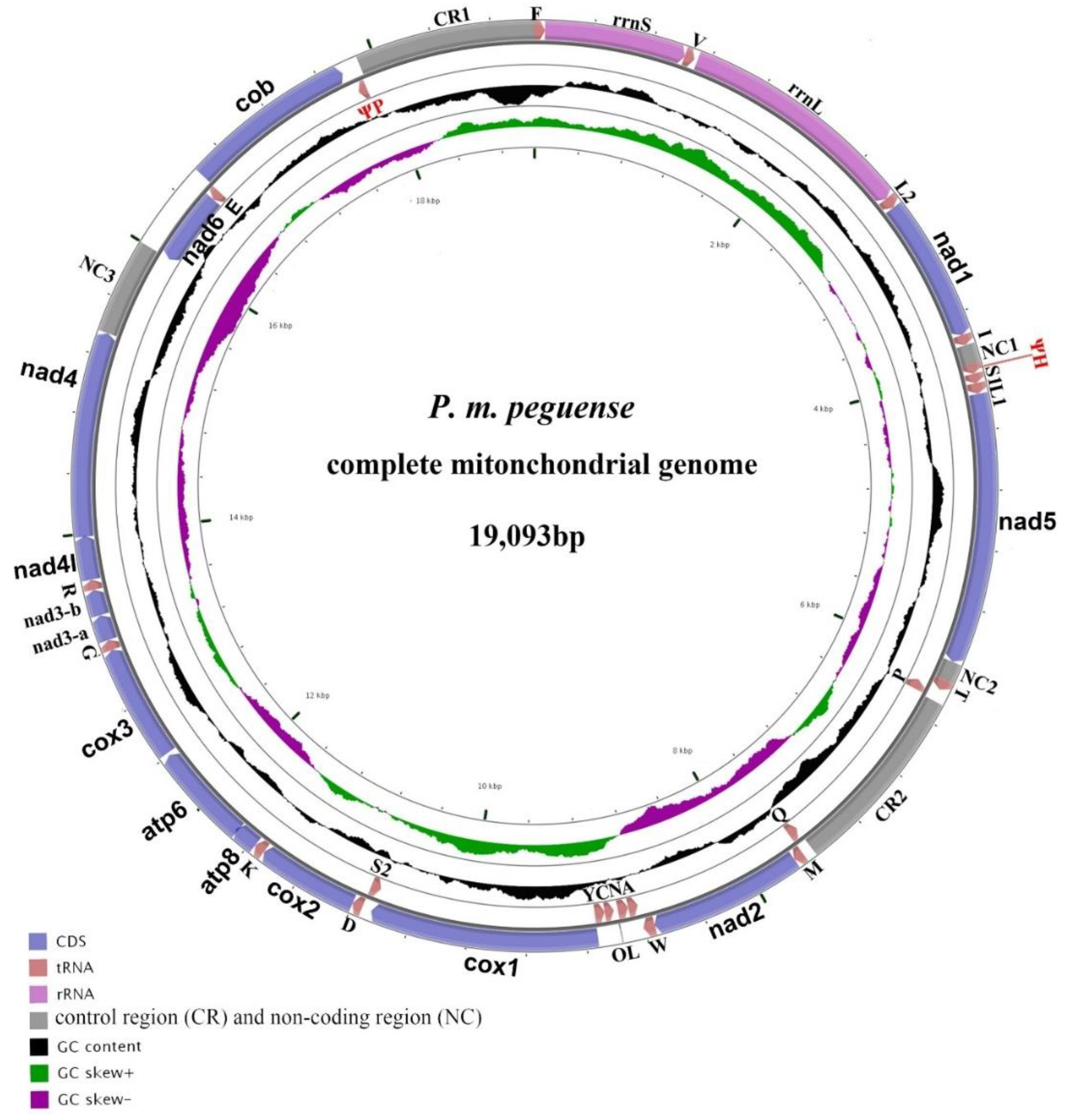 Genes 10 00487 g001 Genes 10 00487 g001