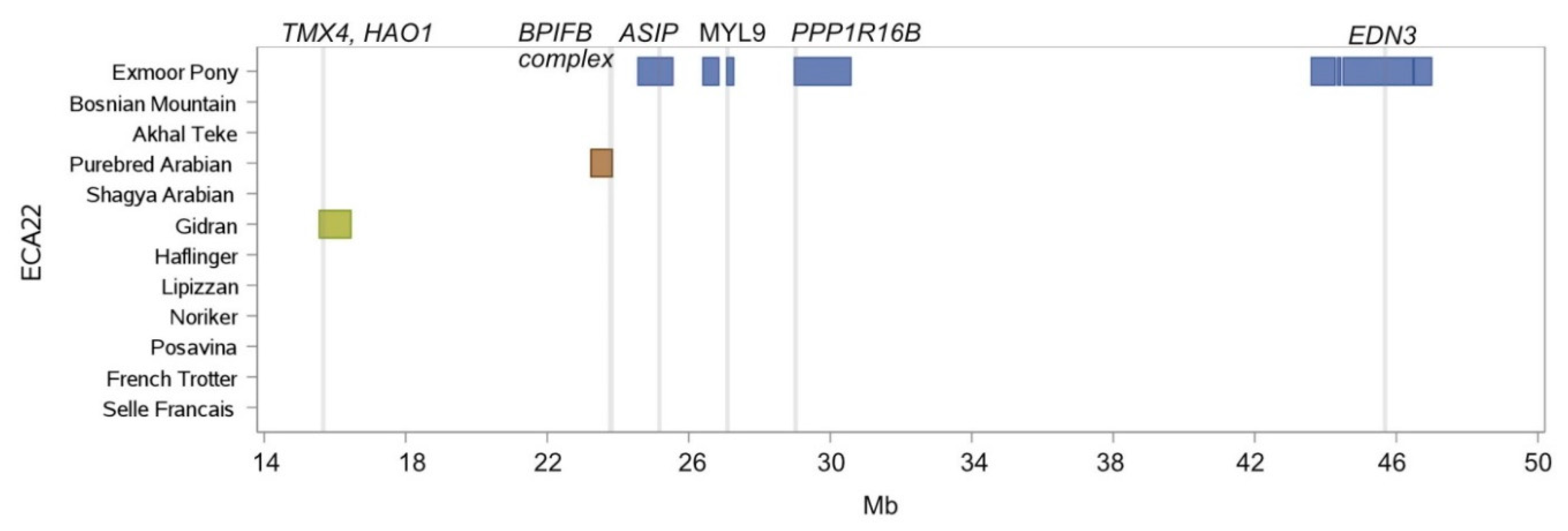 Genes 10 00491 g006 Genes 10 00491 g006