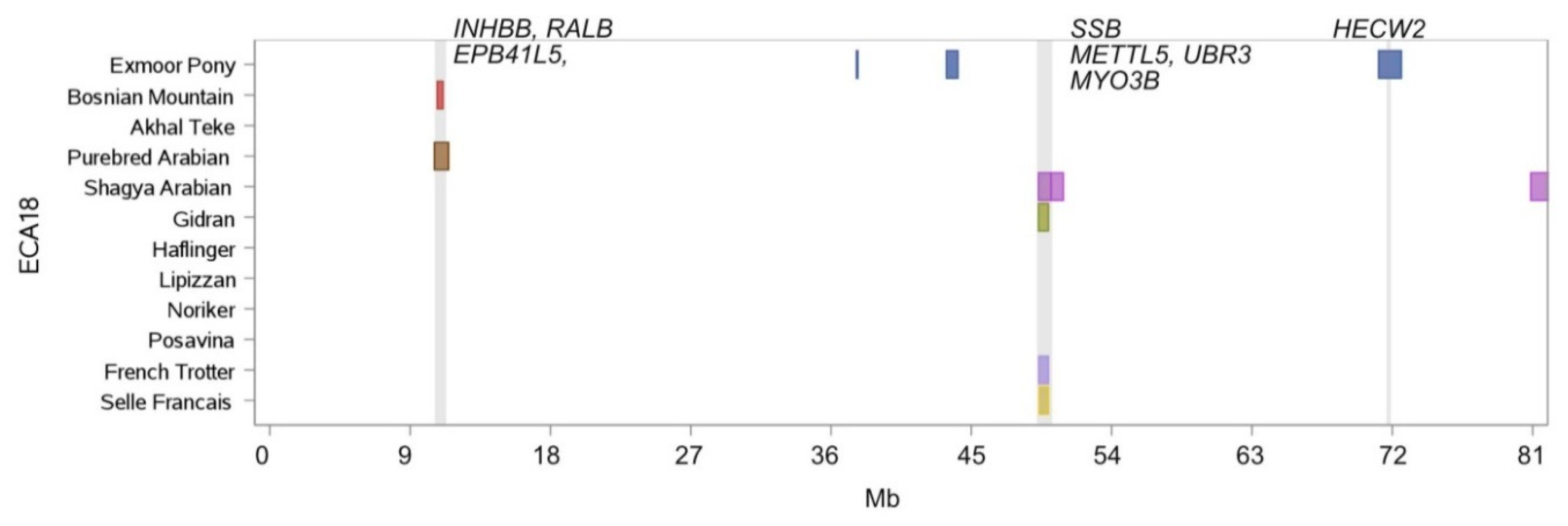 Genes 10 00491 g008 Genes 10 00491 g008