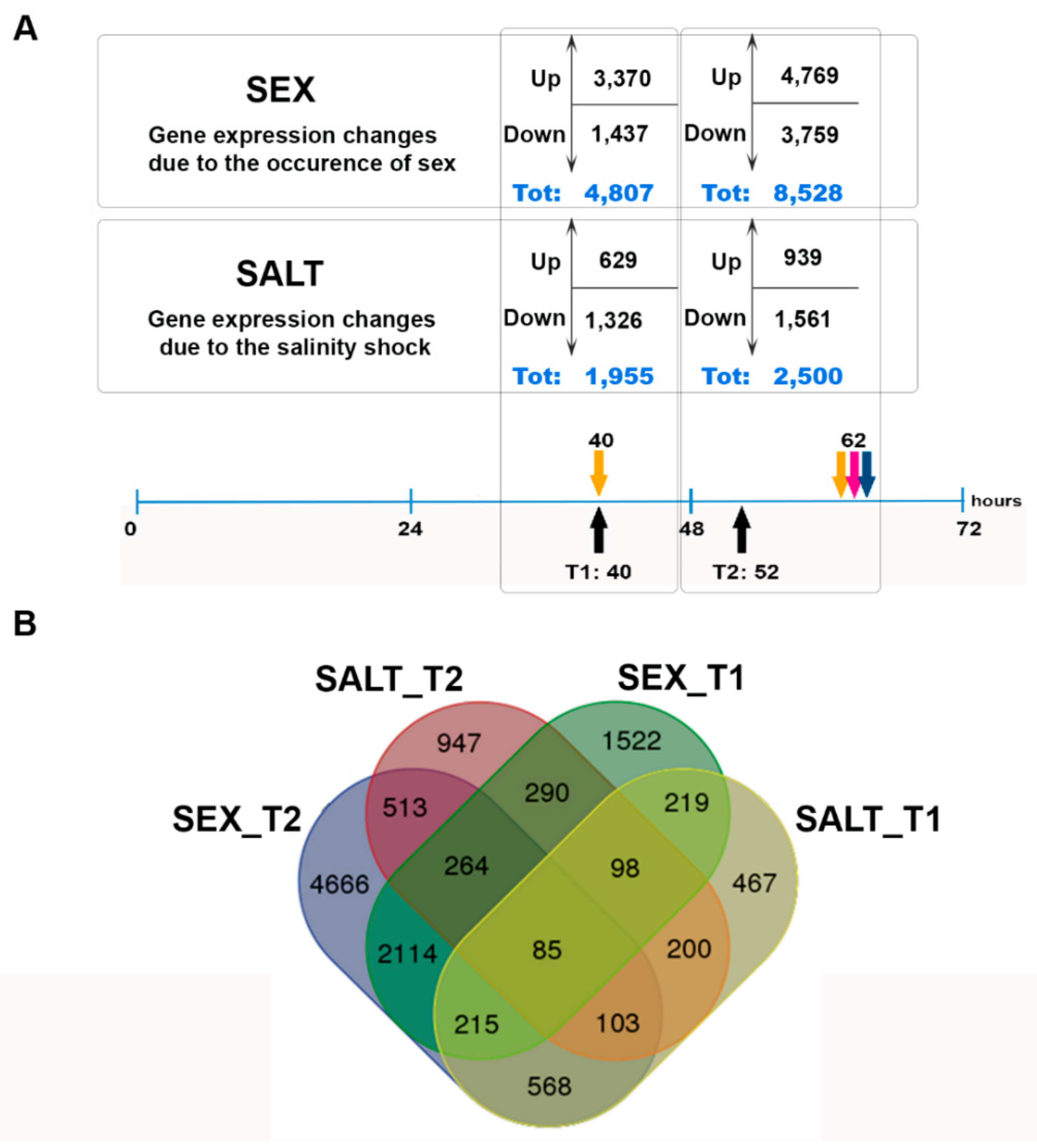Genes 10 00494 g003