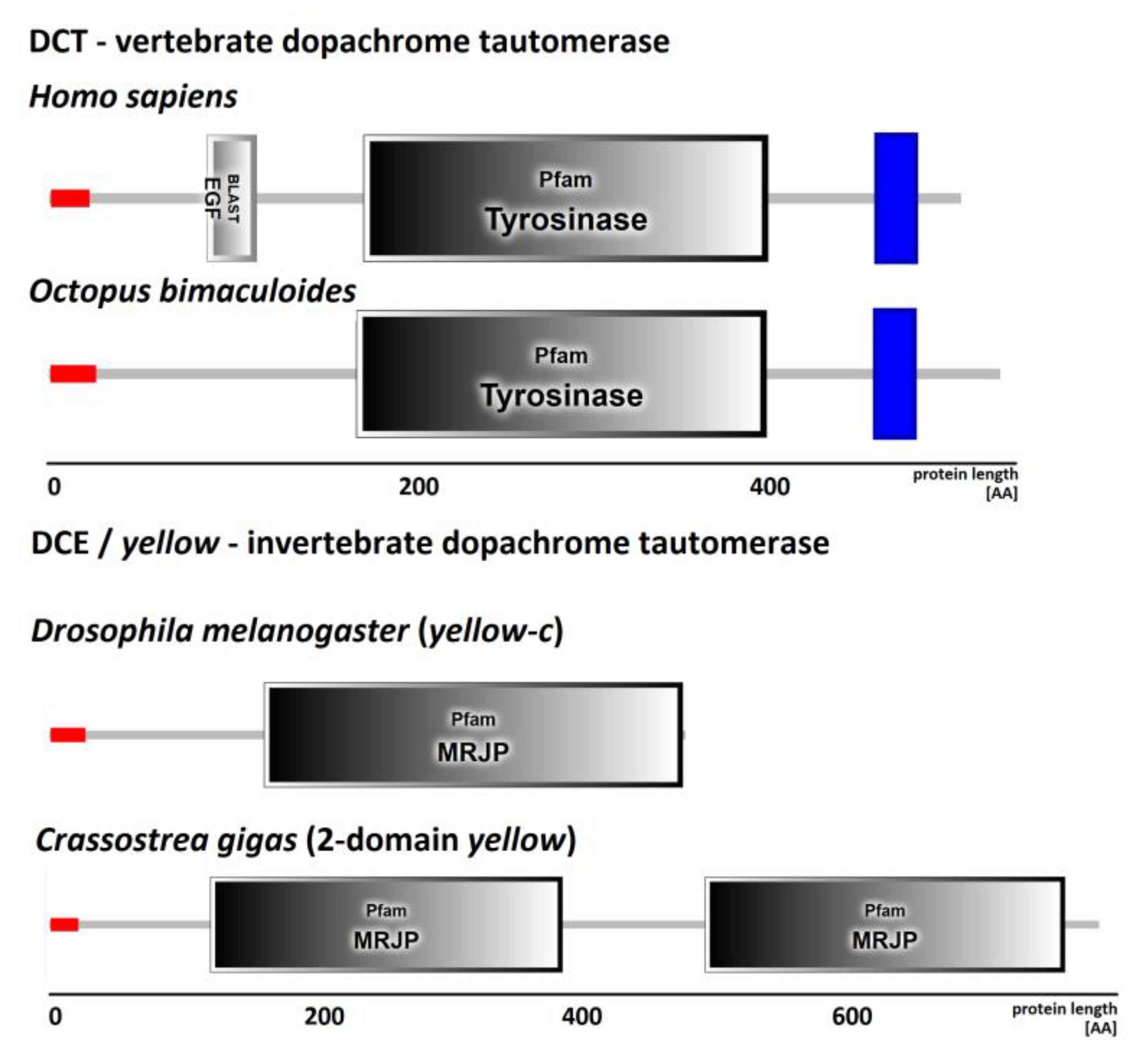 Genes 10 00495 g001 Genes 10 00495 g001