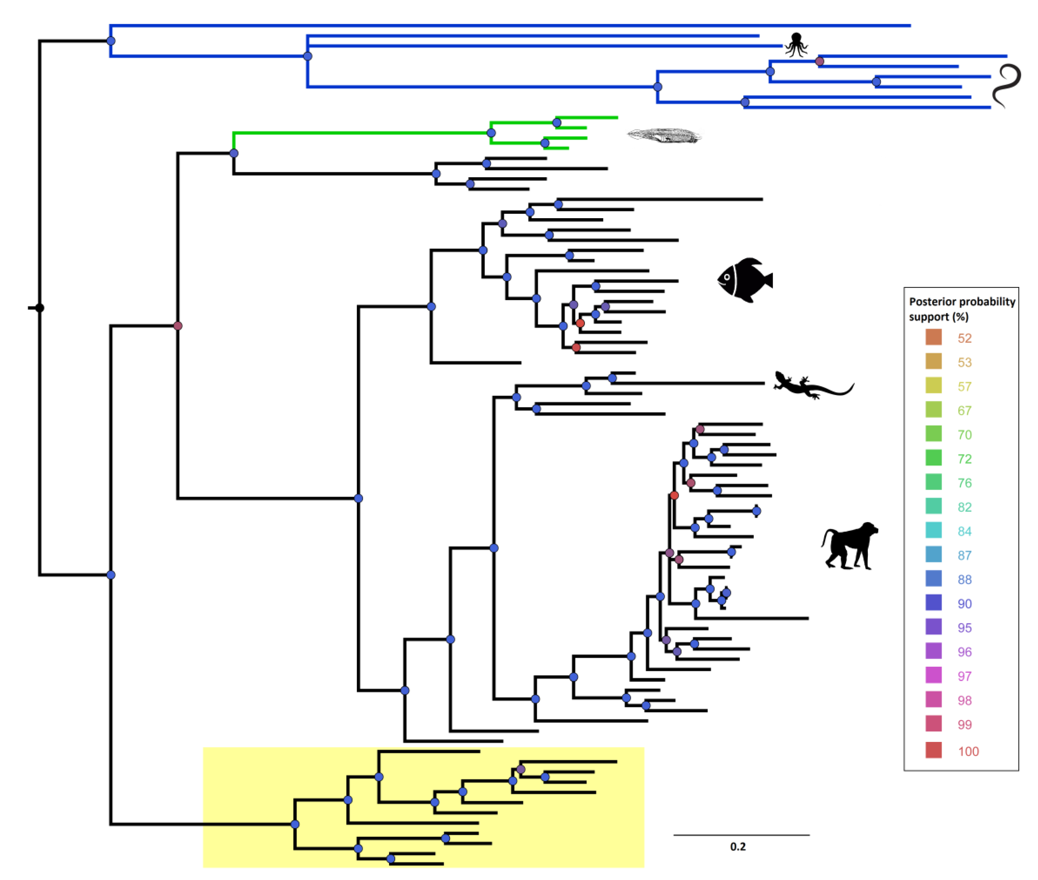 Genes 10 00495 g002 Genes 10 00495 g002