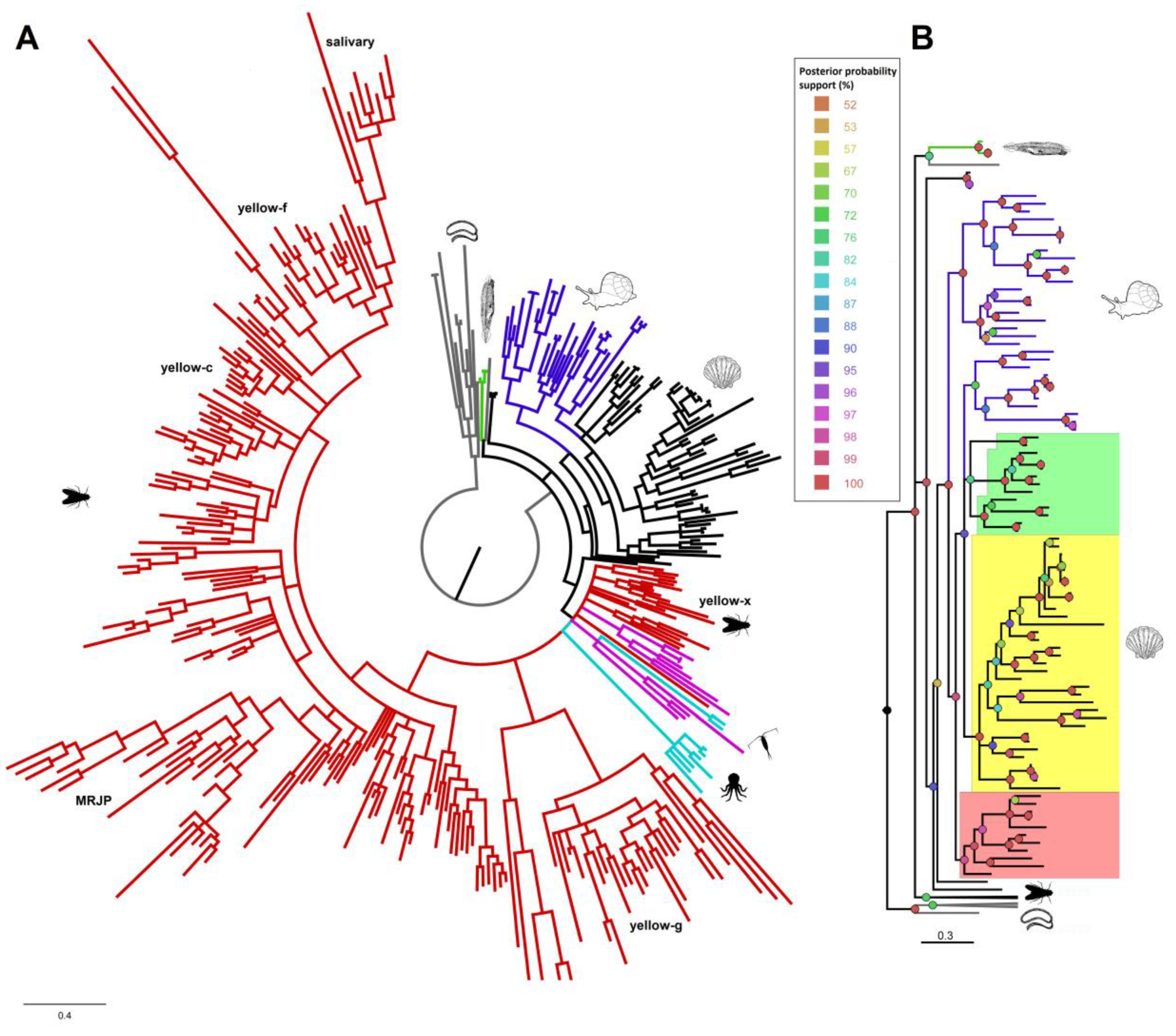 Genes 10 00495 g003 Genes 10 00495 g003