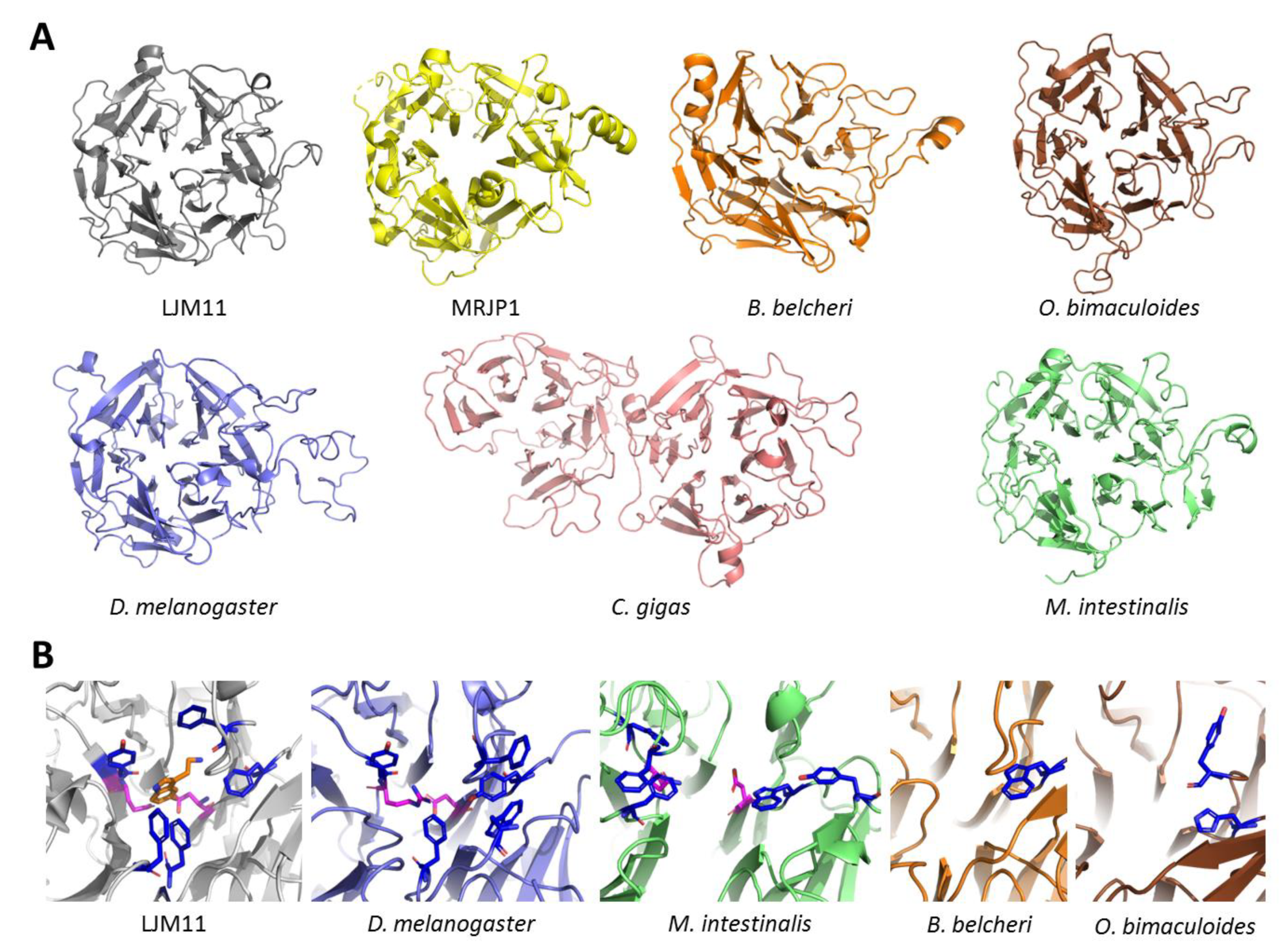 Genes 10 00495 g004 Genes 10 00495 g004