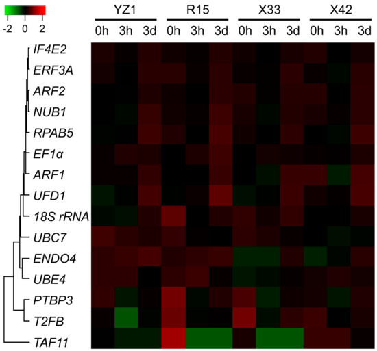 Screening the Reference Genes for Quantitative Gene Expression by RT ...