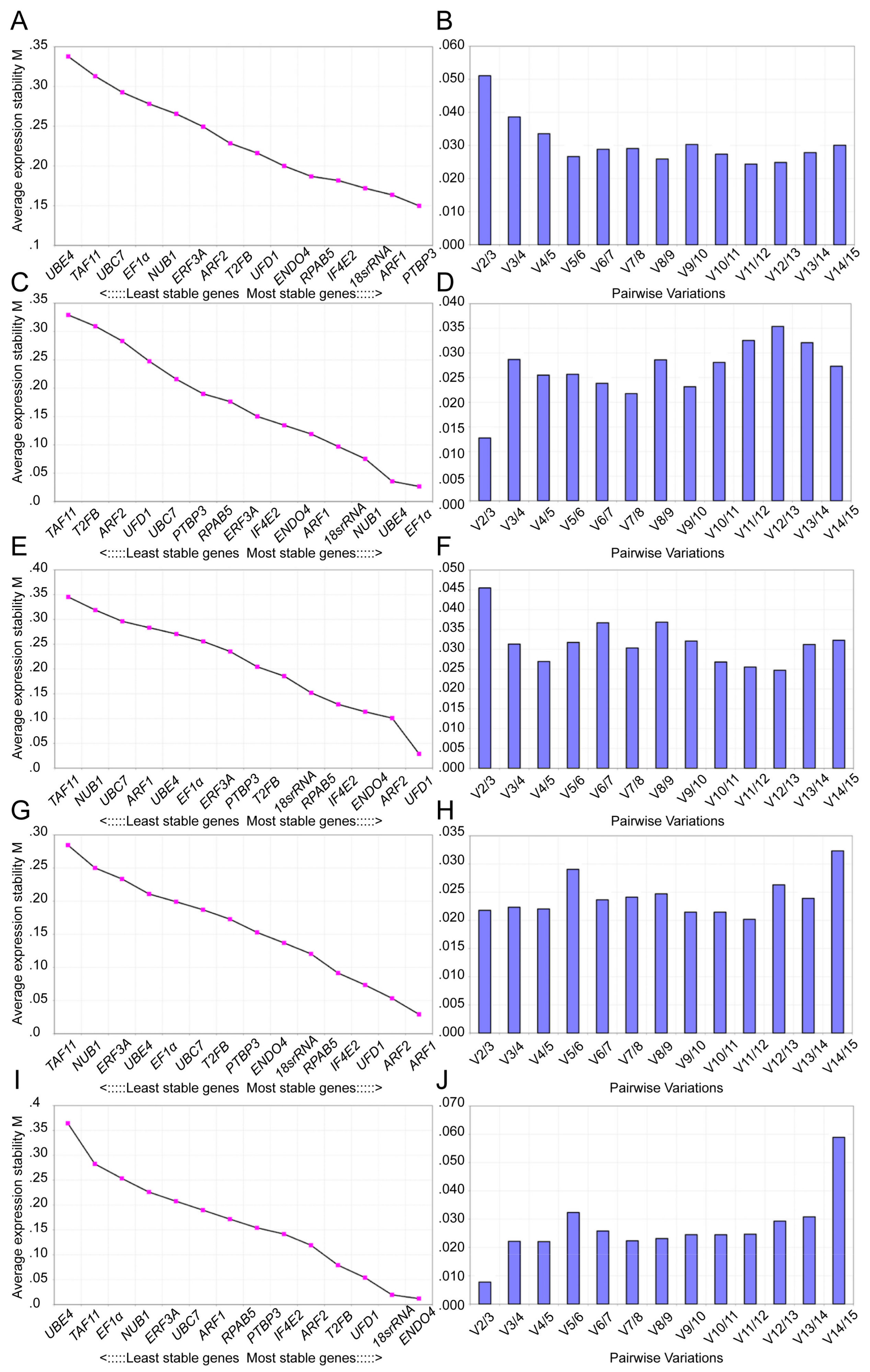 Genes 10 00497 g003 Genes 10 00497 g003
