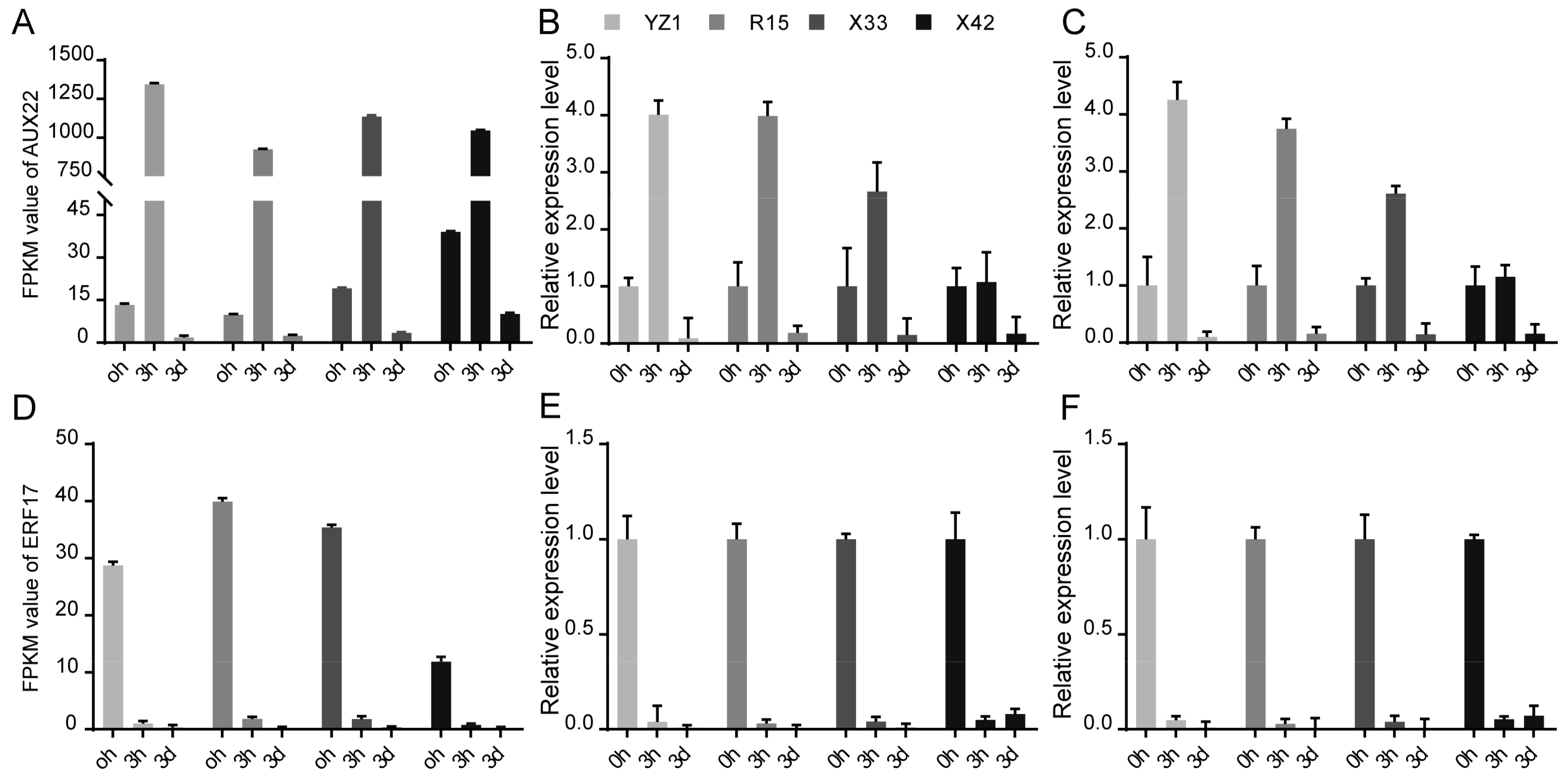 Genes 10 00497 g005 Genes 10 00497 g005