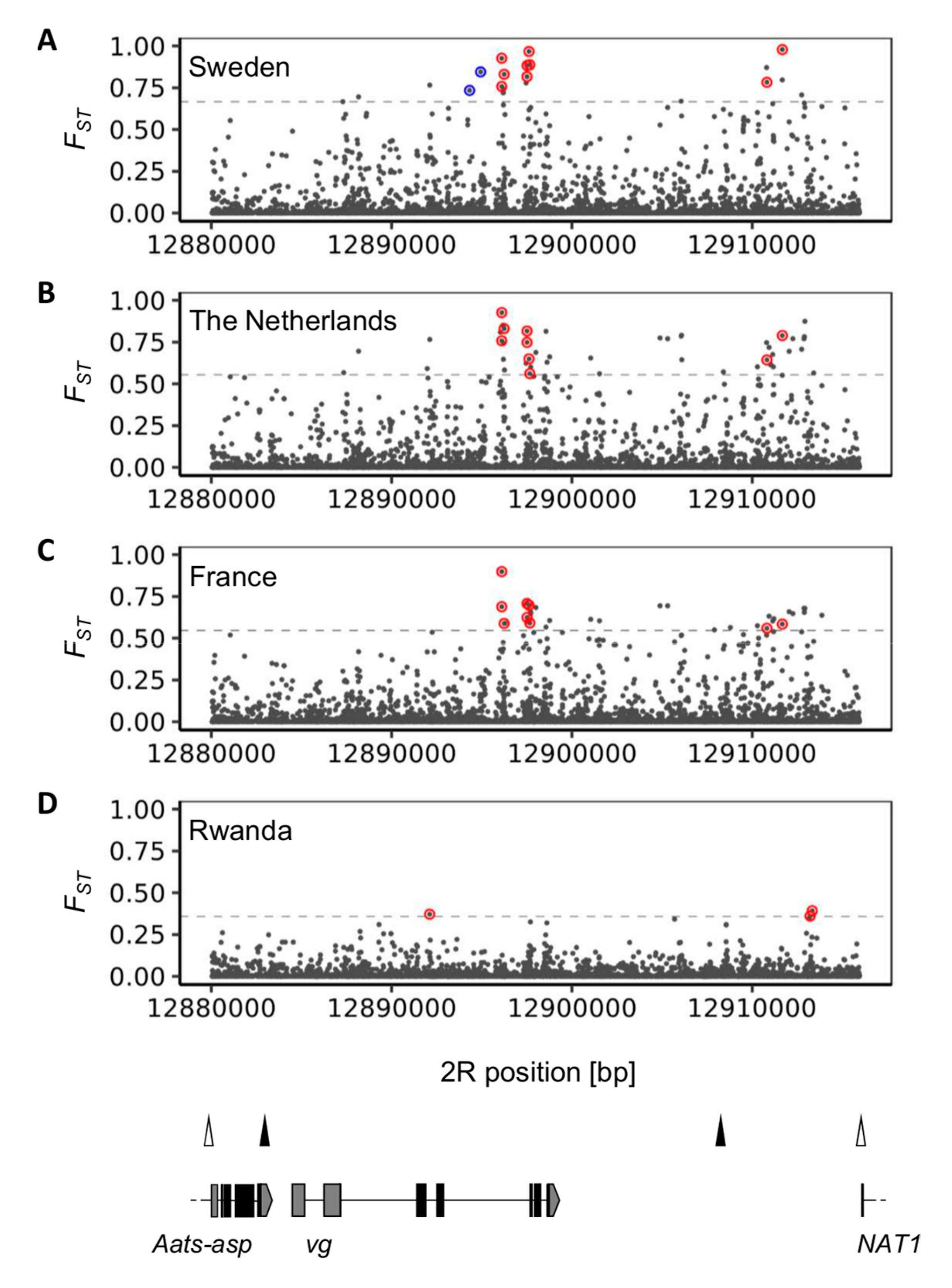 Genes 10 00498 g002 Genes 10 00498 g002