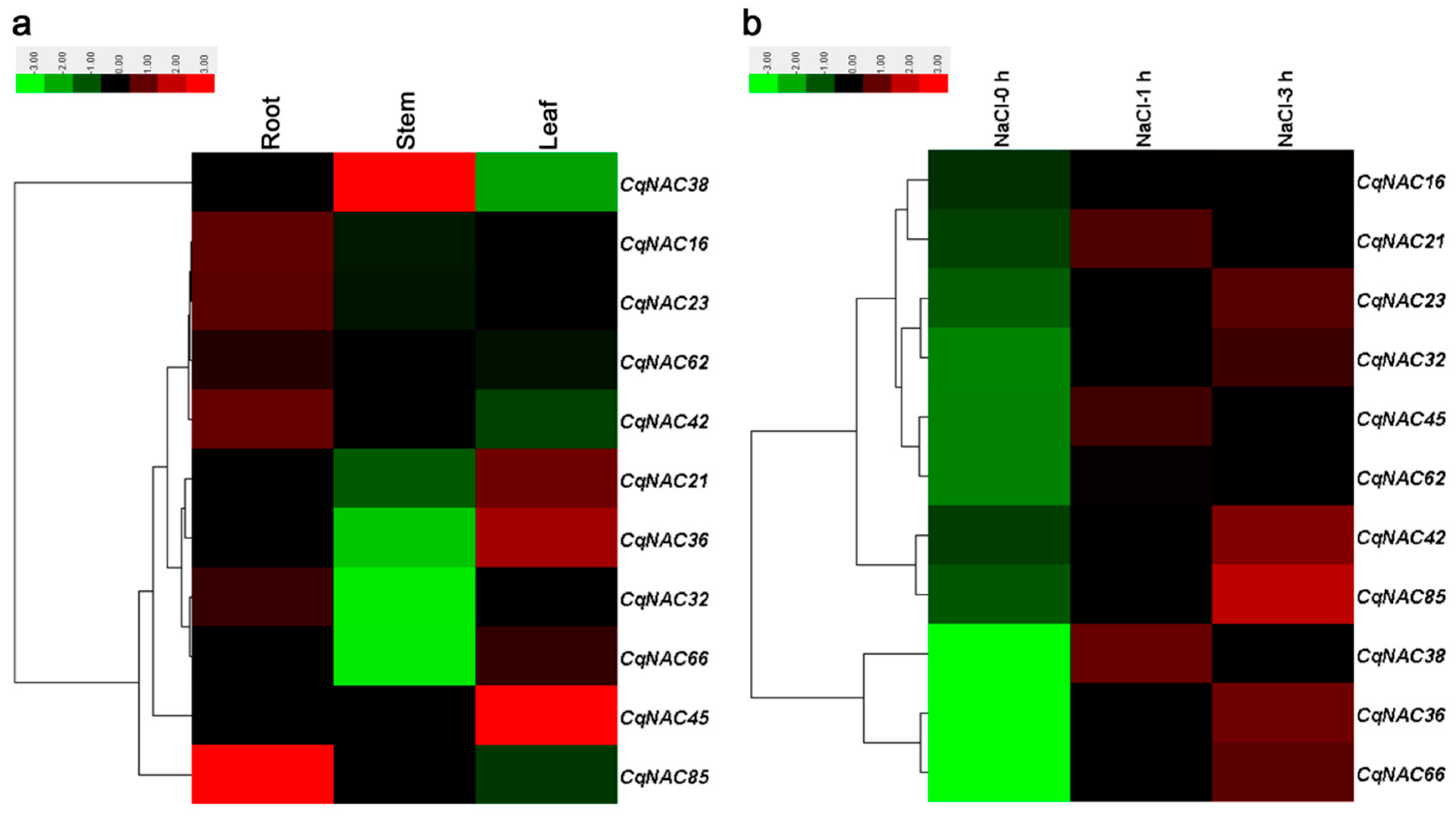 Genes 10 00500 g004 Genes 10 00500 g004