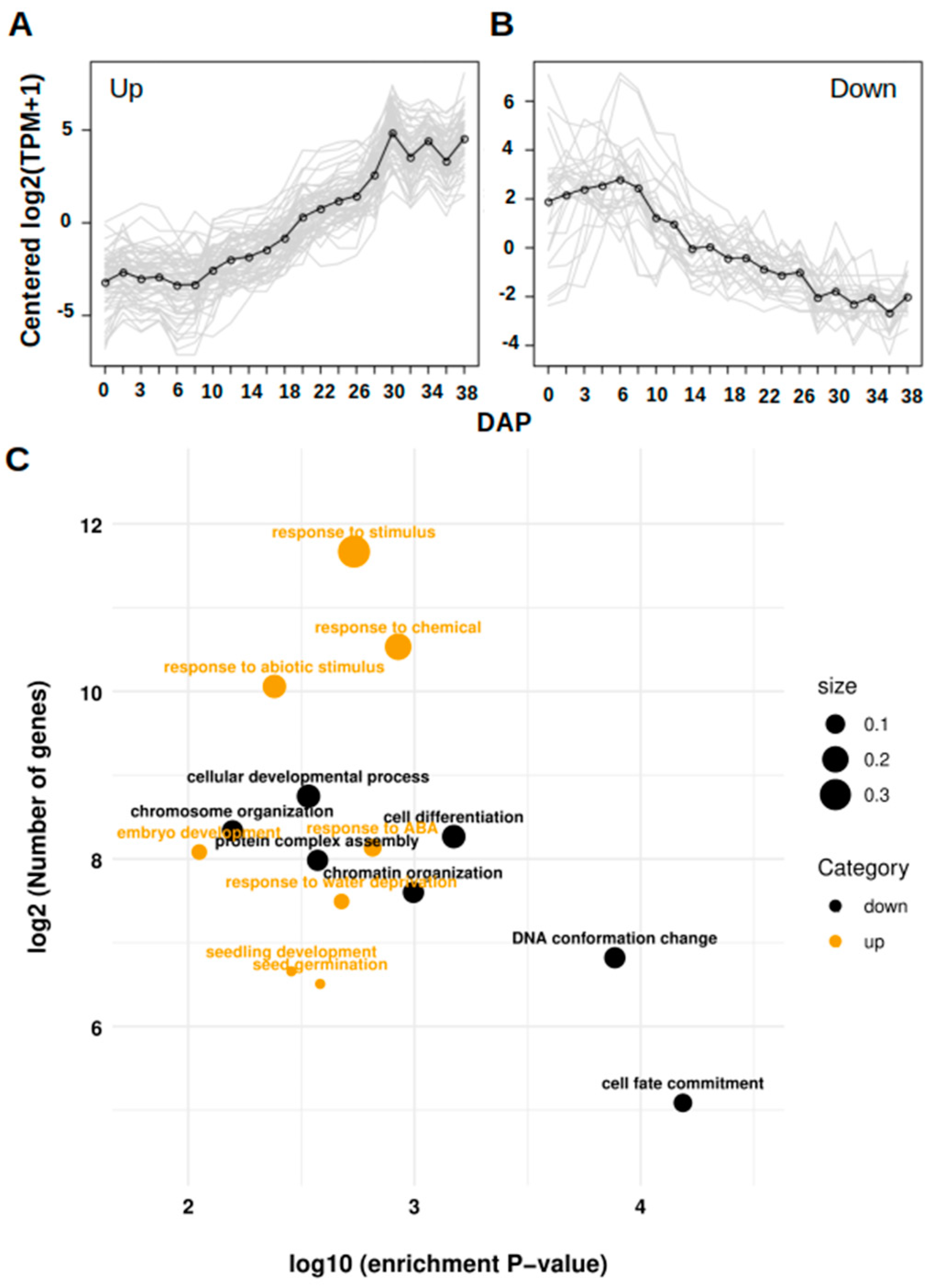 Genes 10 00502 g006