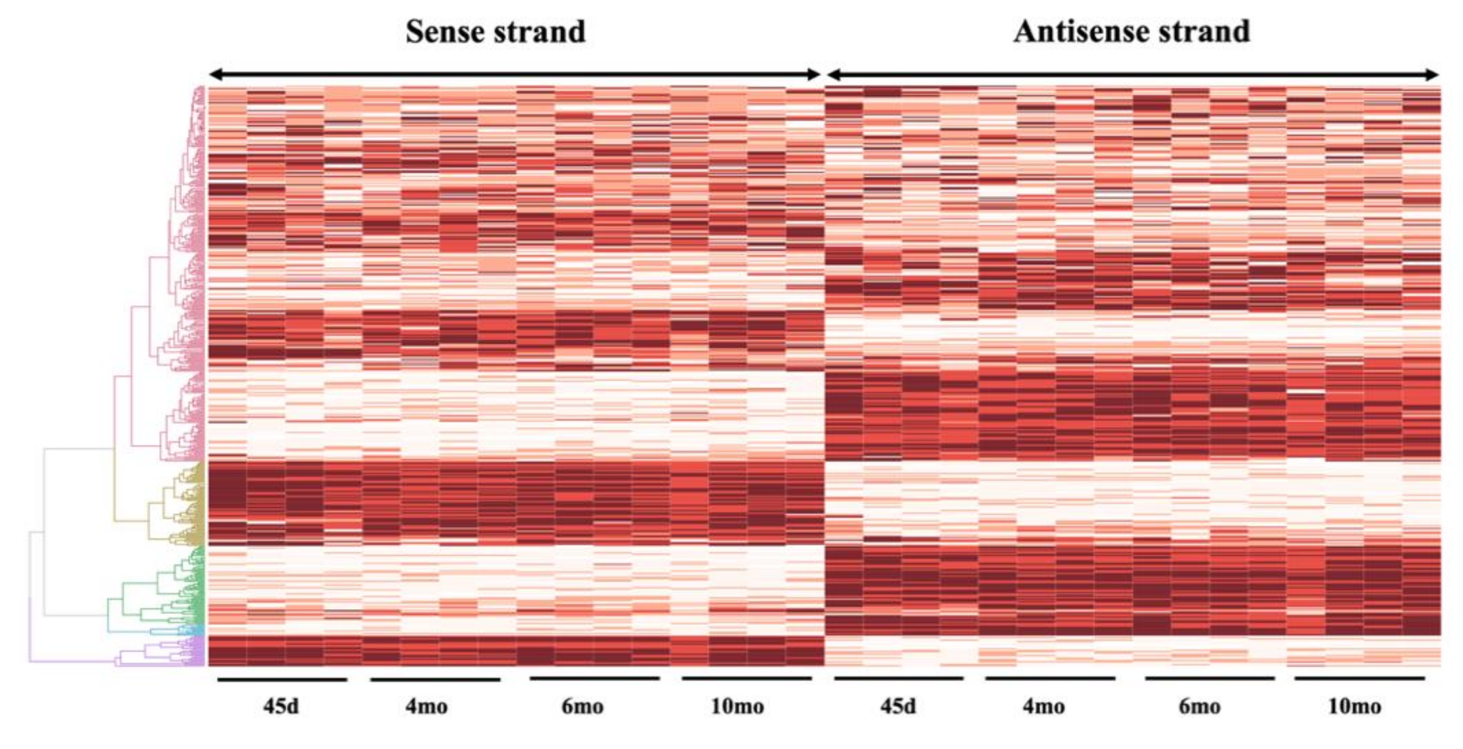 Genes 10 00503 g005 Genes 10 00503 g005