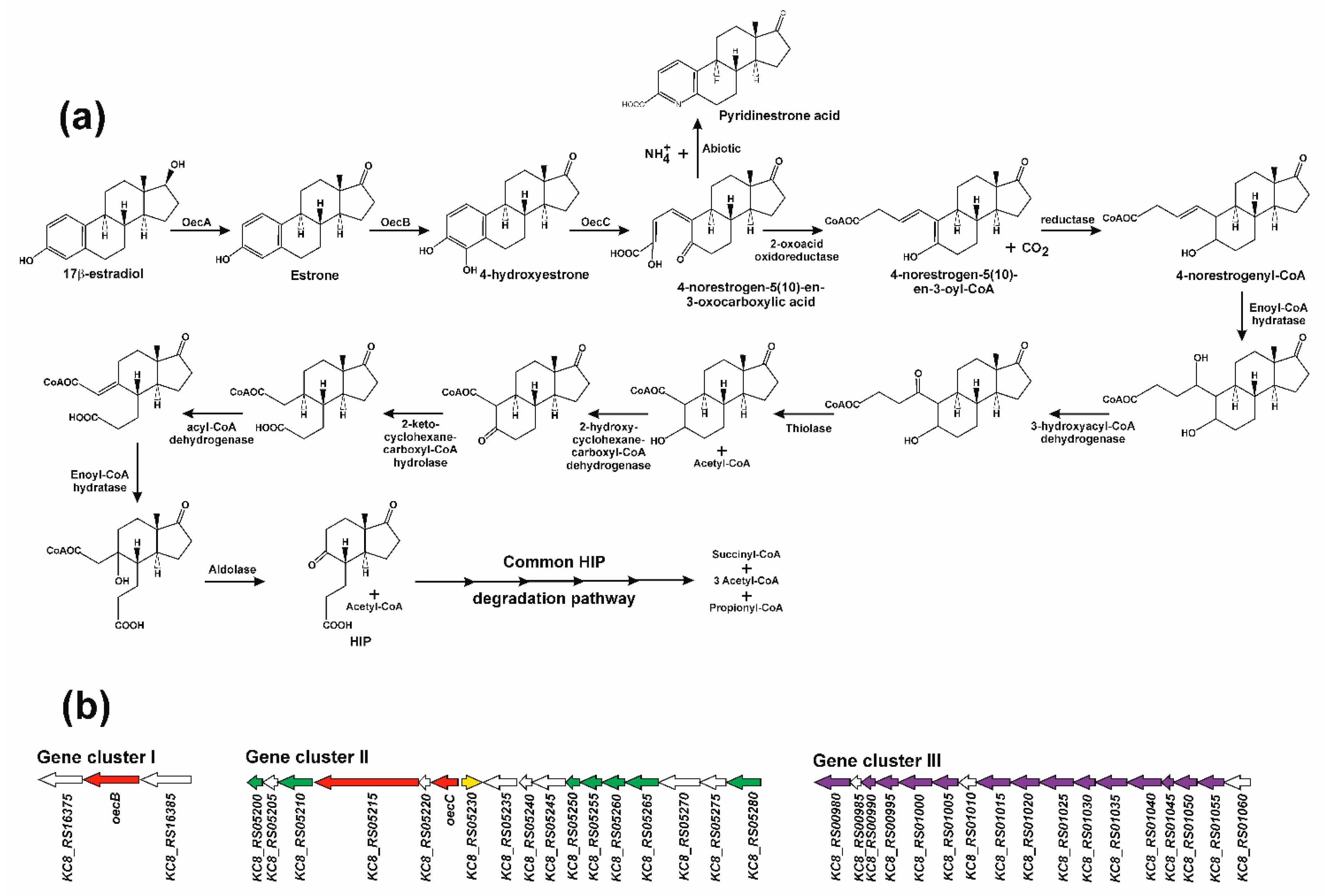Genes 10 00512 g008 Genes 10 00512 g008