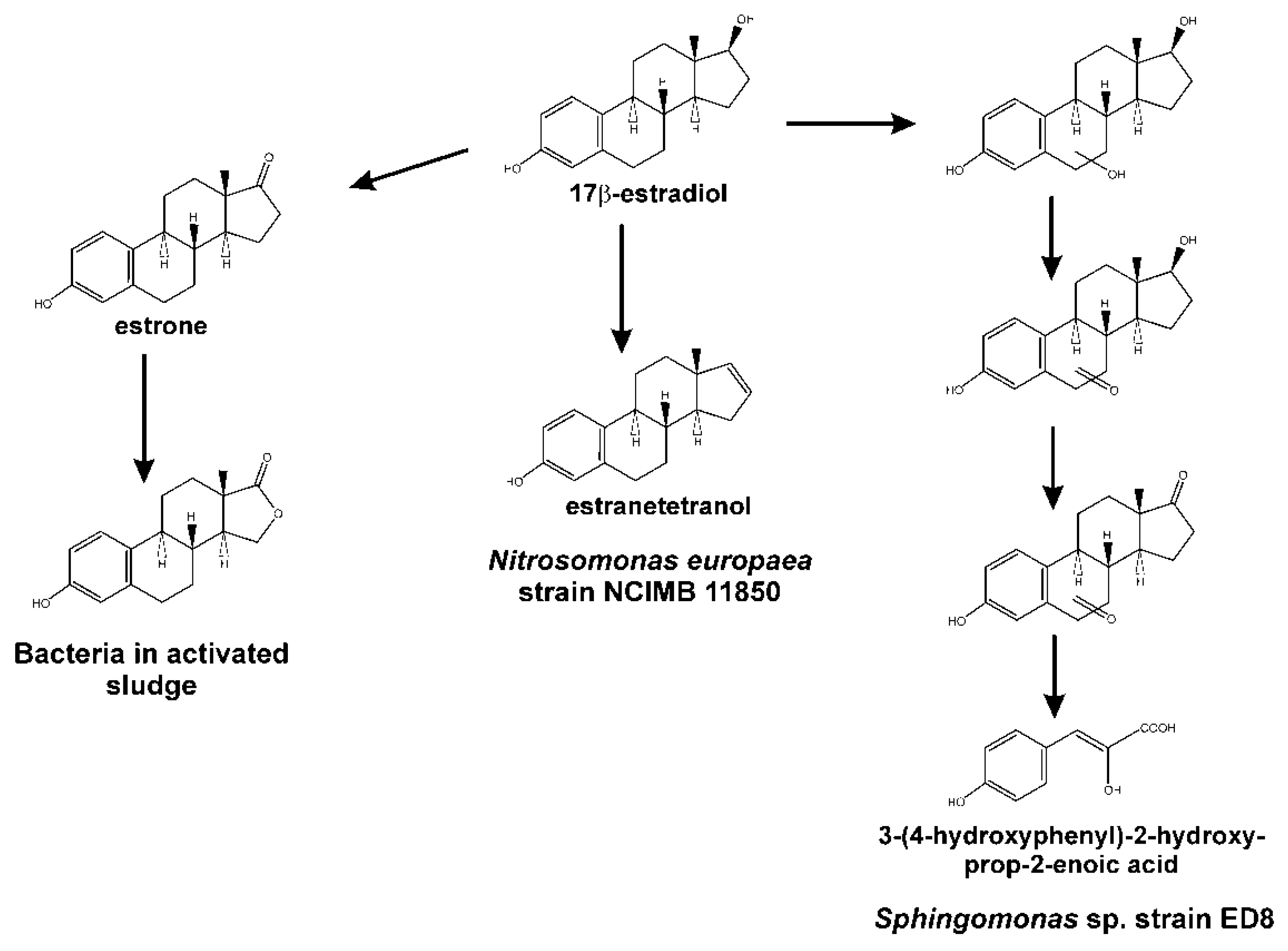 Genes 10 00512 g009 Genes 10 00512 g009