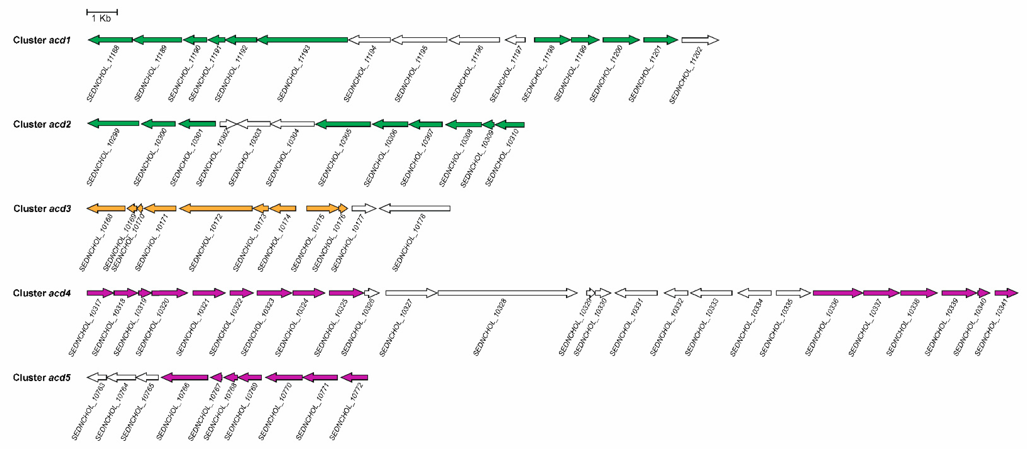 Genes 10 00512 g011 Genes 10 00512 g011