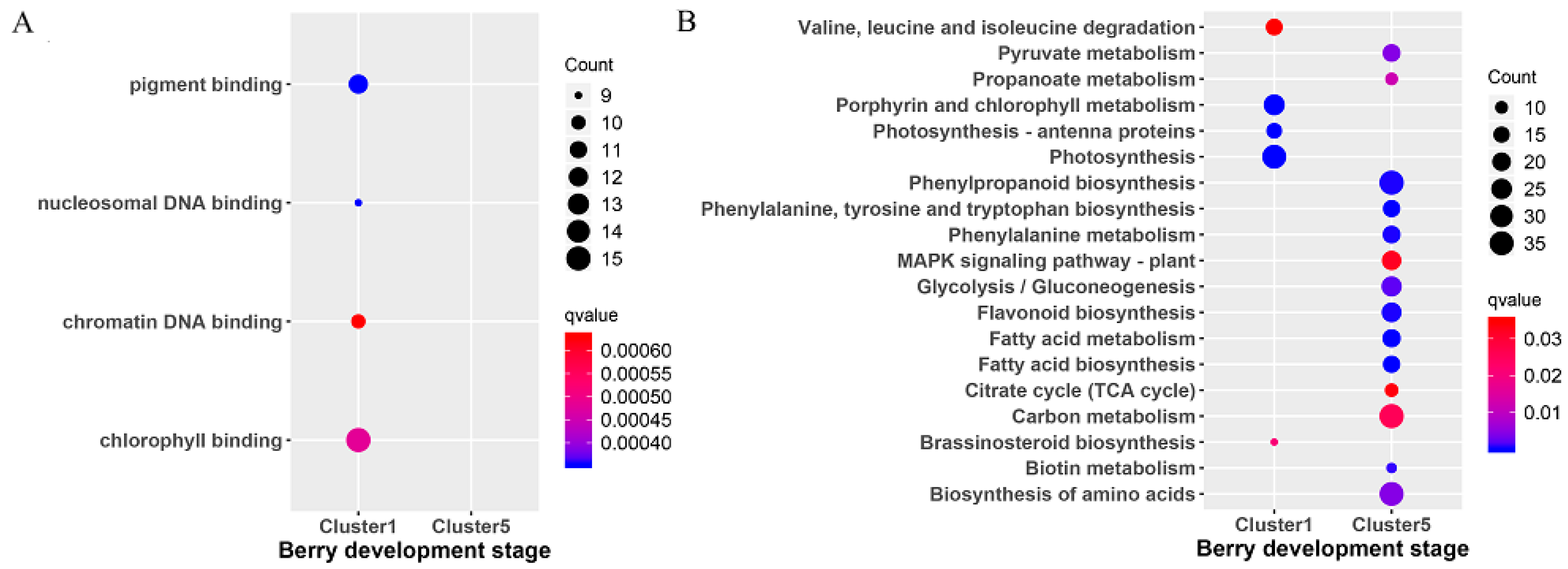 Genes 10 00514 g003 Genes 10 00514 g003