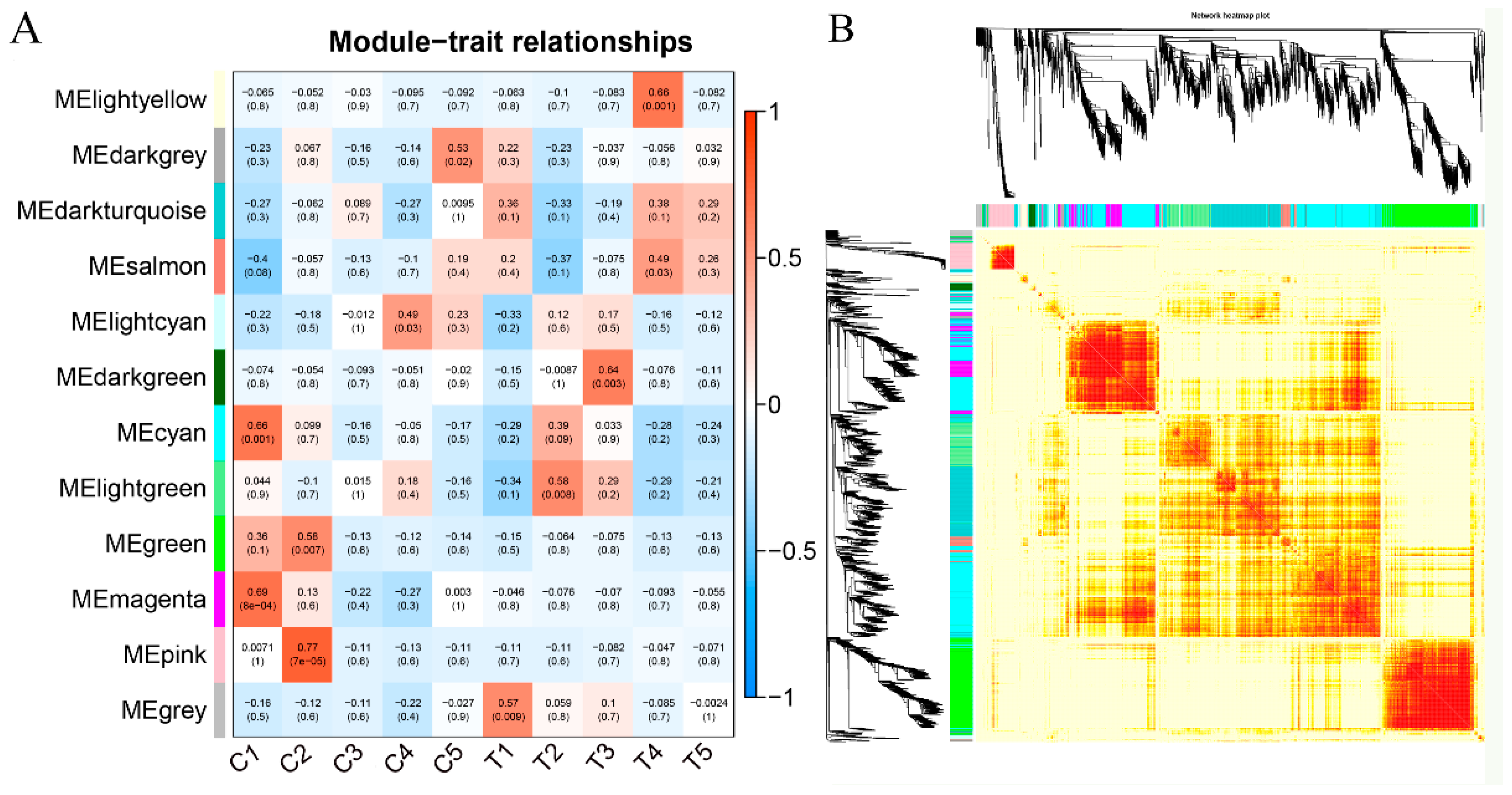 Genes 10 00514 g006 Genes 10 00514 g006