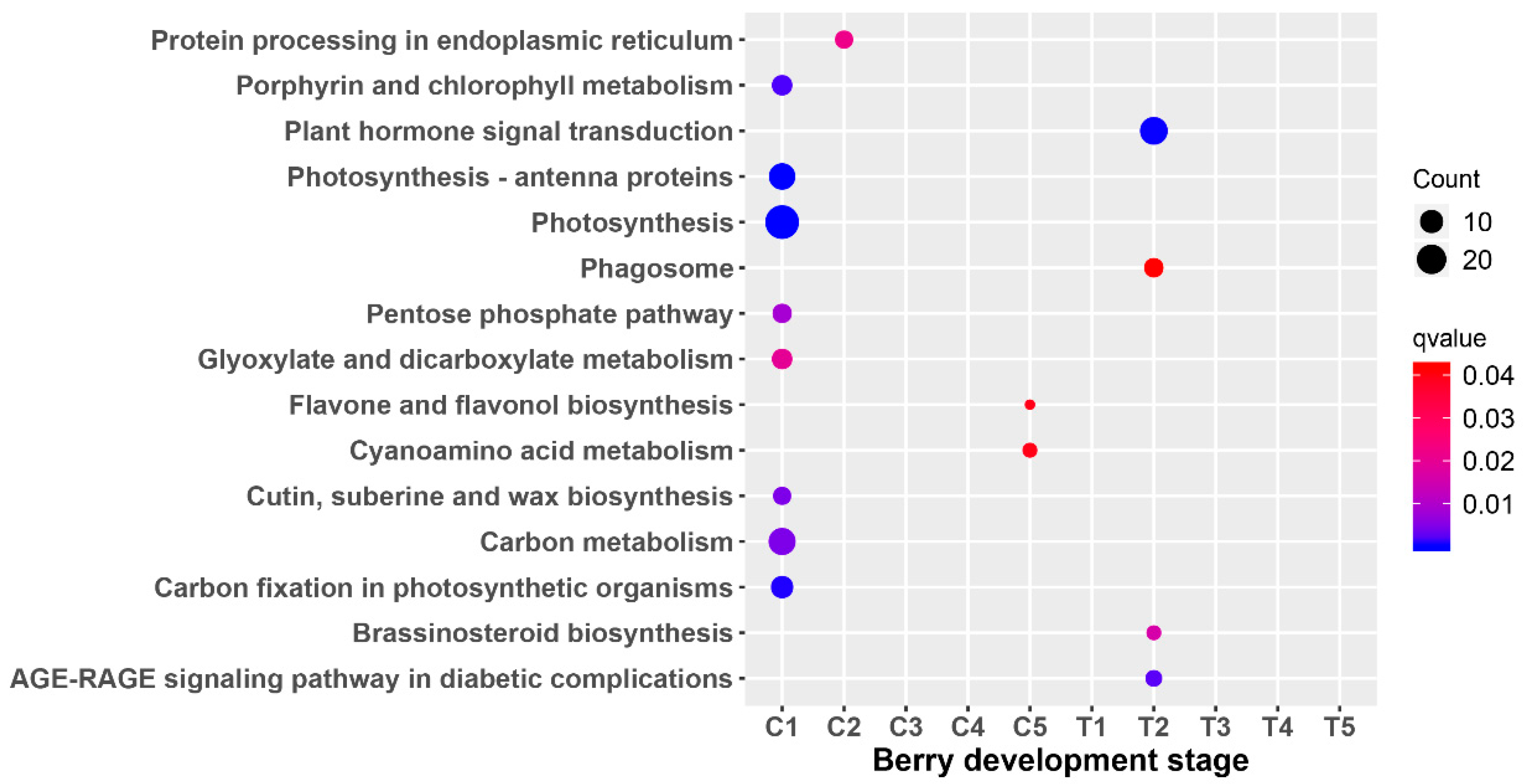 Genes 10 00514 g007 Genes 10 00514 g007