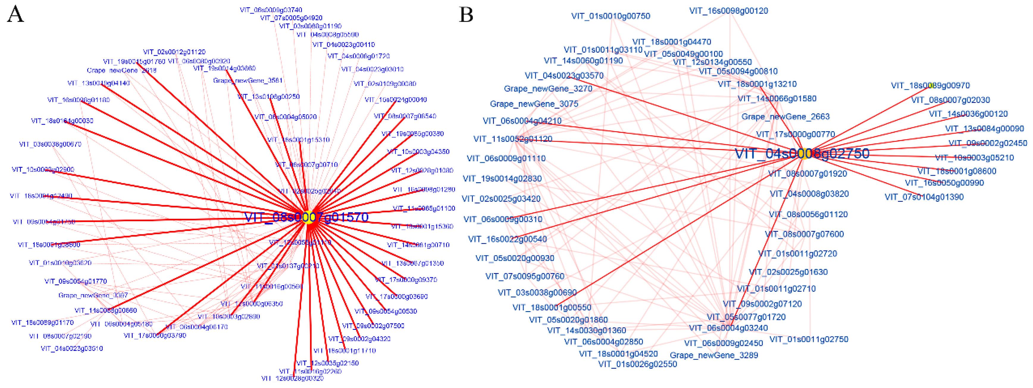 Genes 10 00514 g008 Genes 10 00514 g008