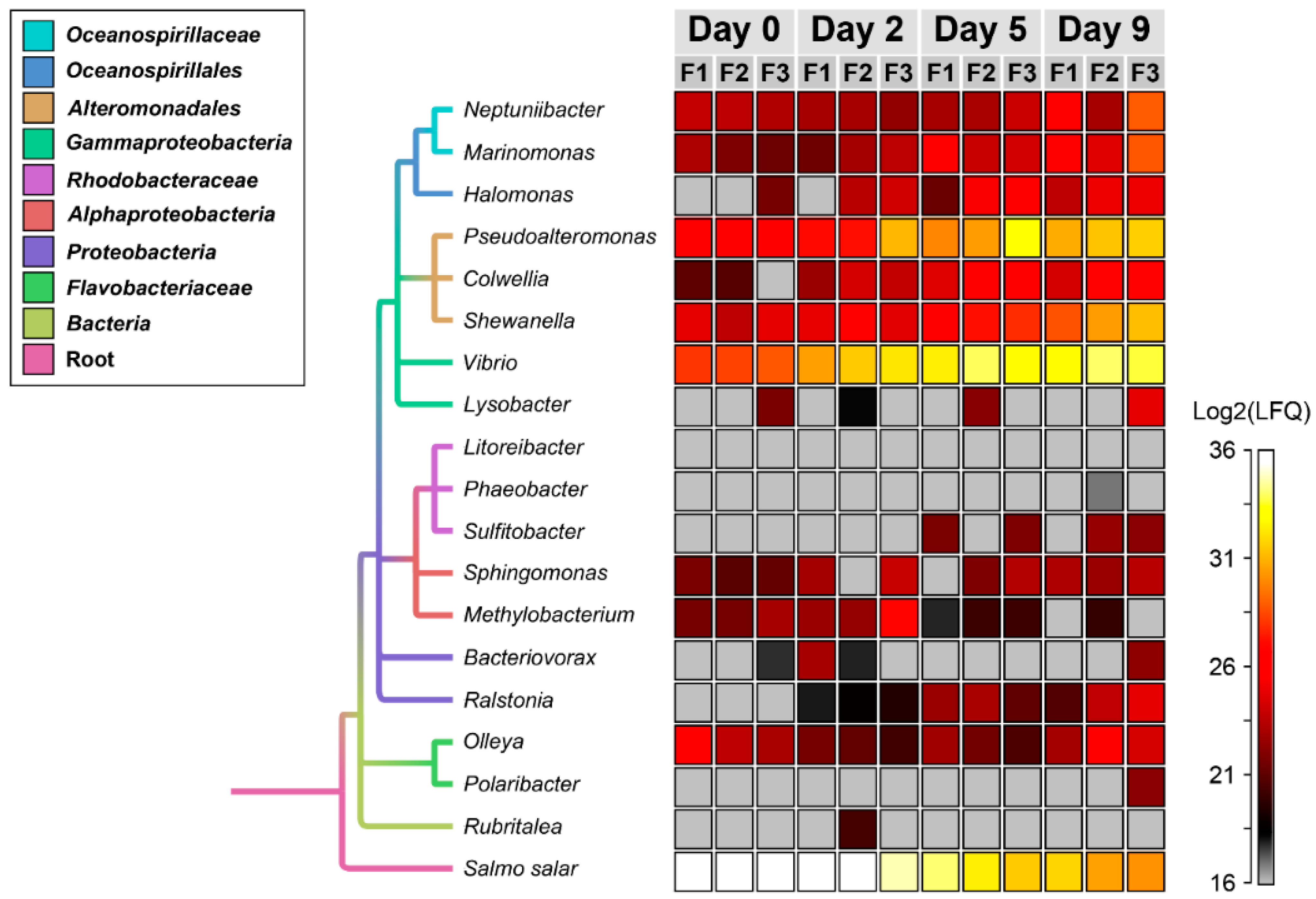 Genes 10 00515 g003