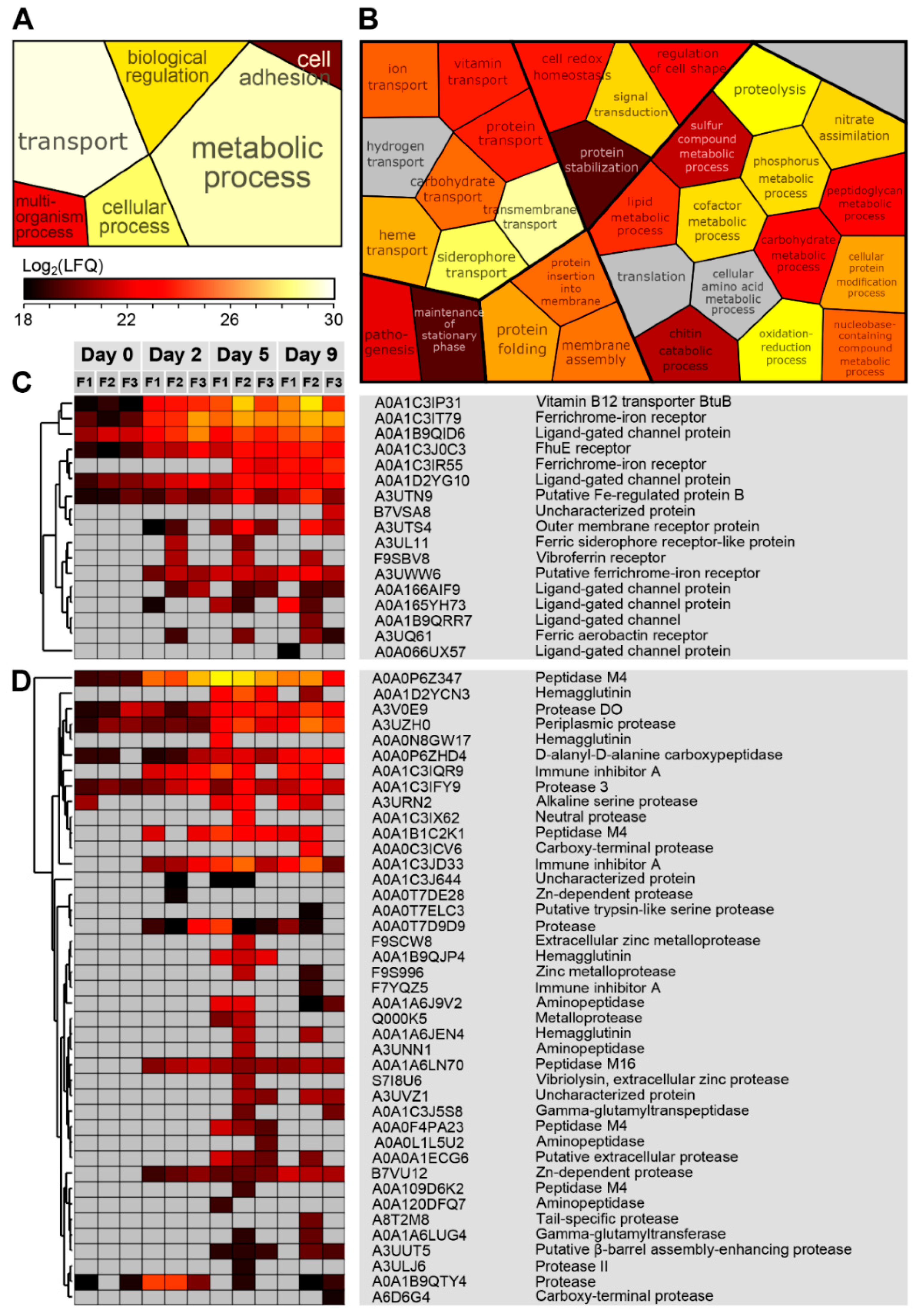Genes 10 00515 g004