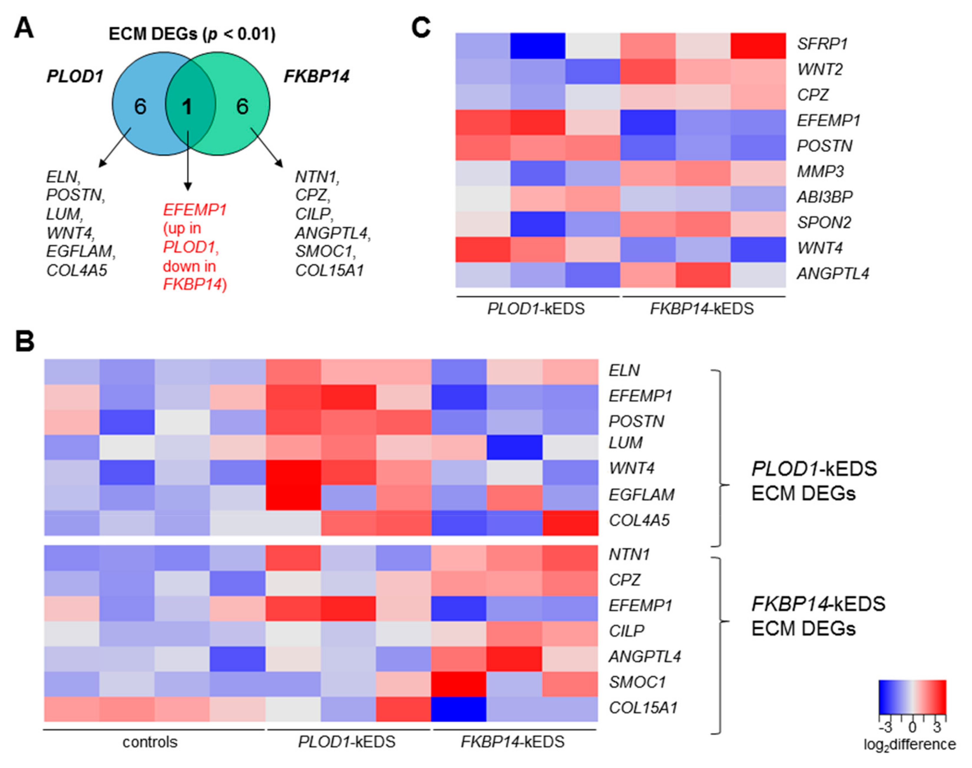 Genes 10 00517 g002 Genes 10 00517 g002