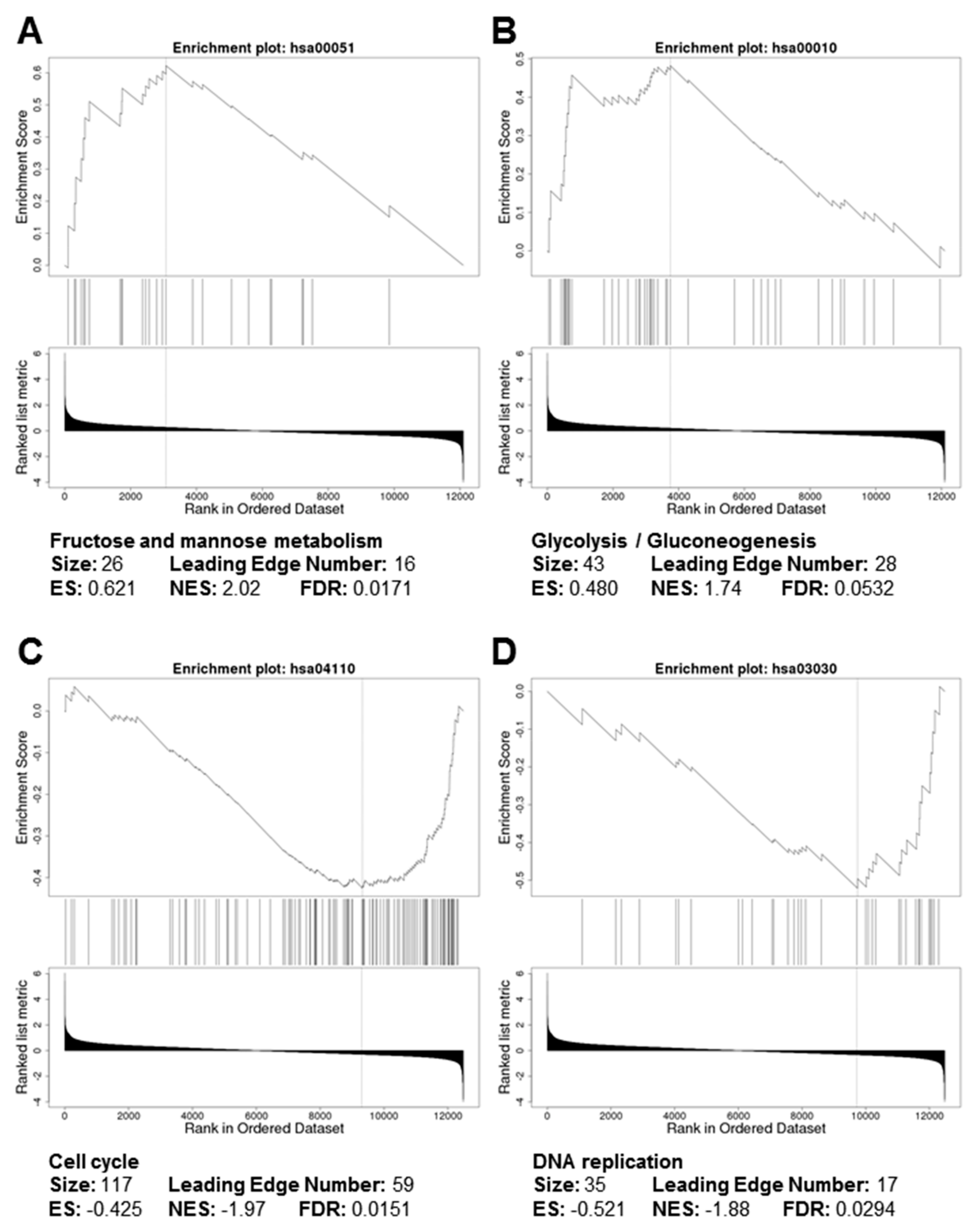 Genes 10 00517 g003 Genes 10 00517 g003