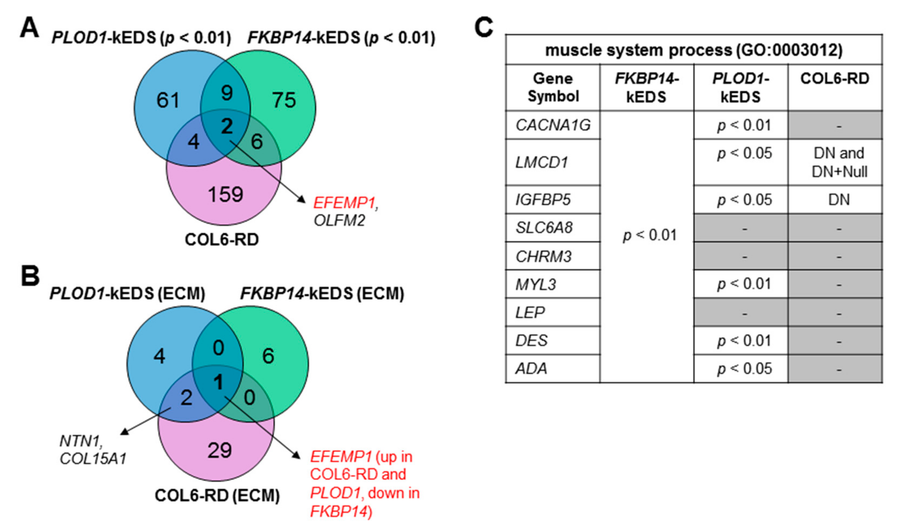 Genes 10 00517 g004 Genes 10 00517 g004