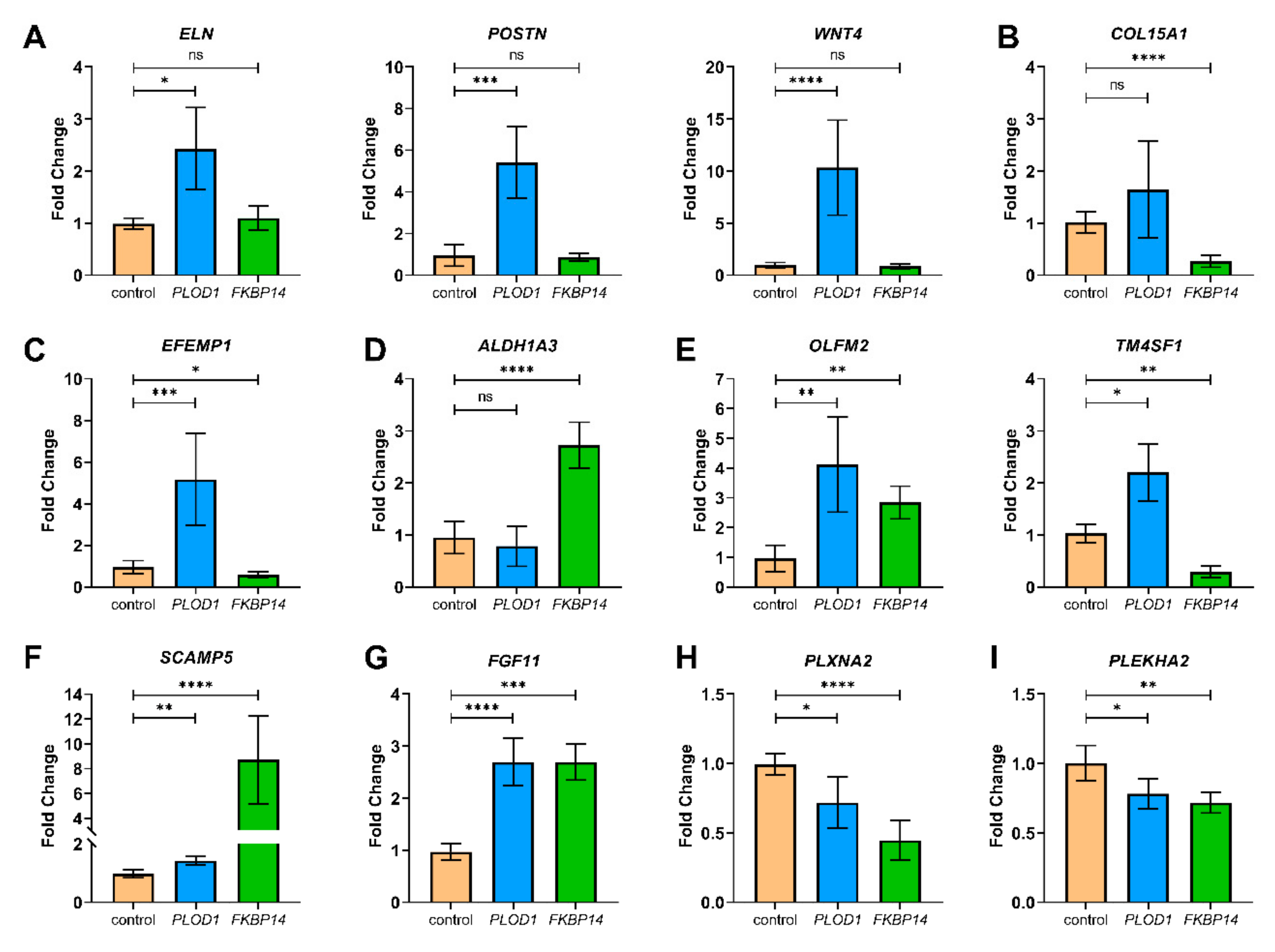 Genes 10 00517 g005 Genes 10 00517 g005