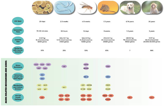 genes-10-00518-g001-550.jpg