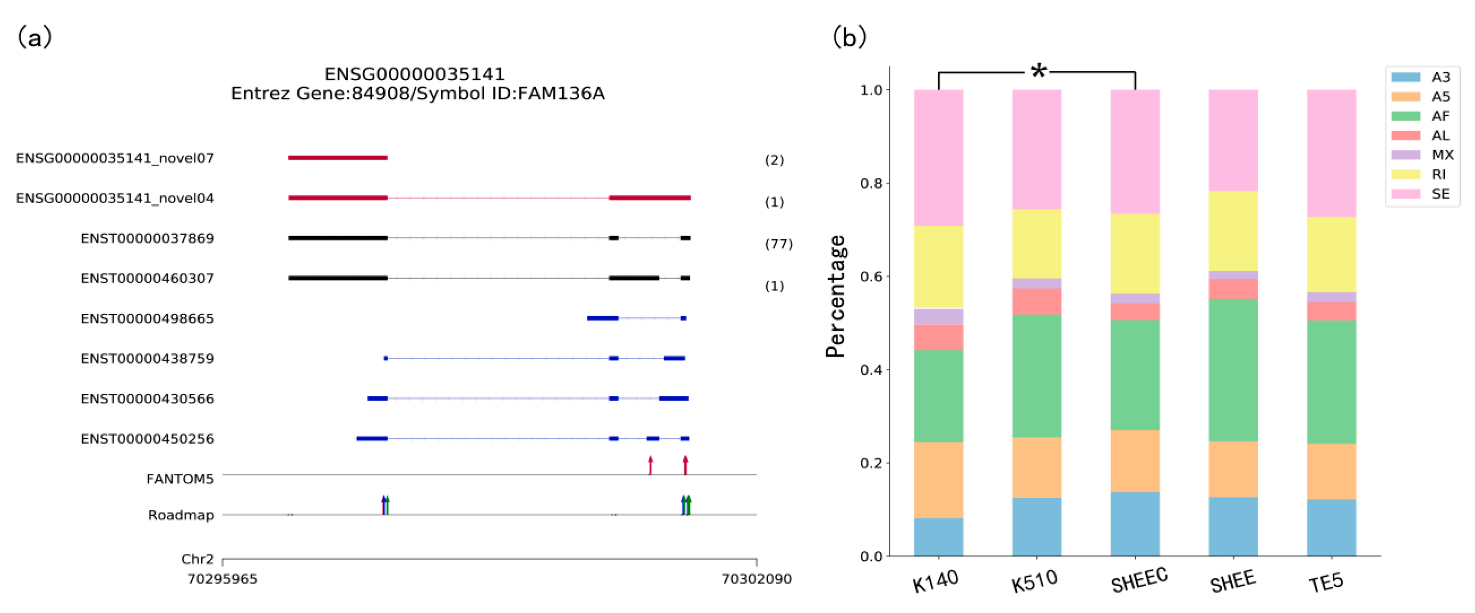 Genes 10 00519 g002