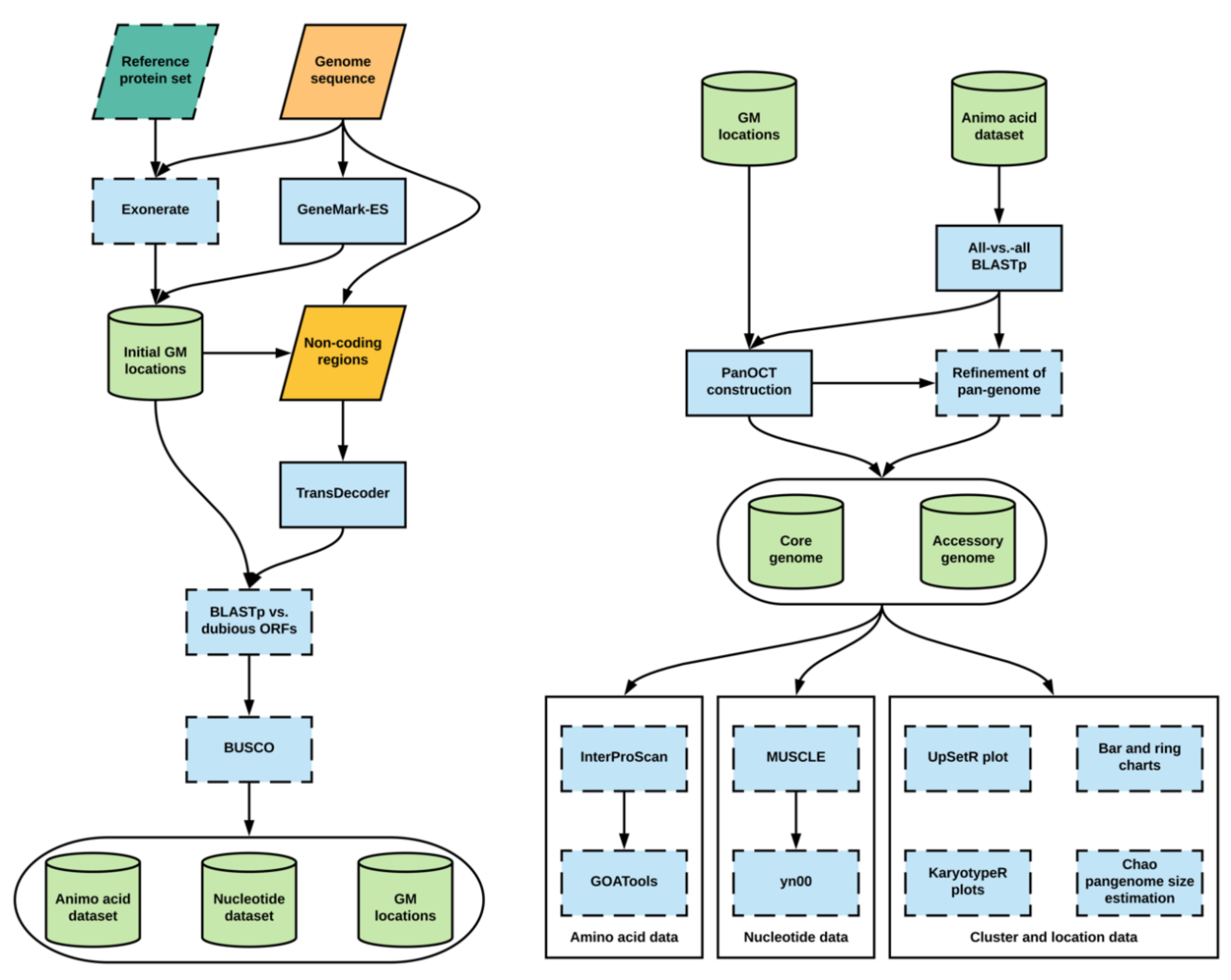 Genes 10 00521 g001 Genes 10 00521 g001