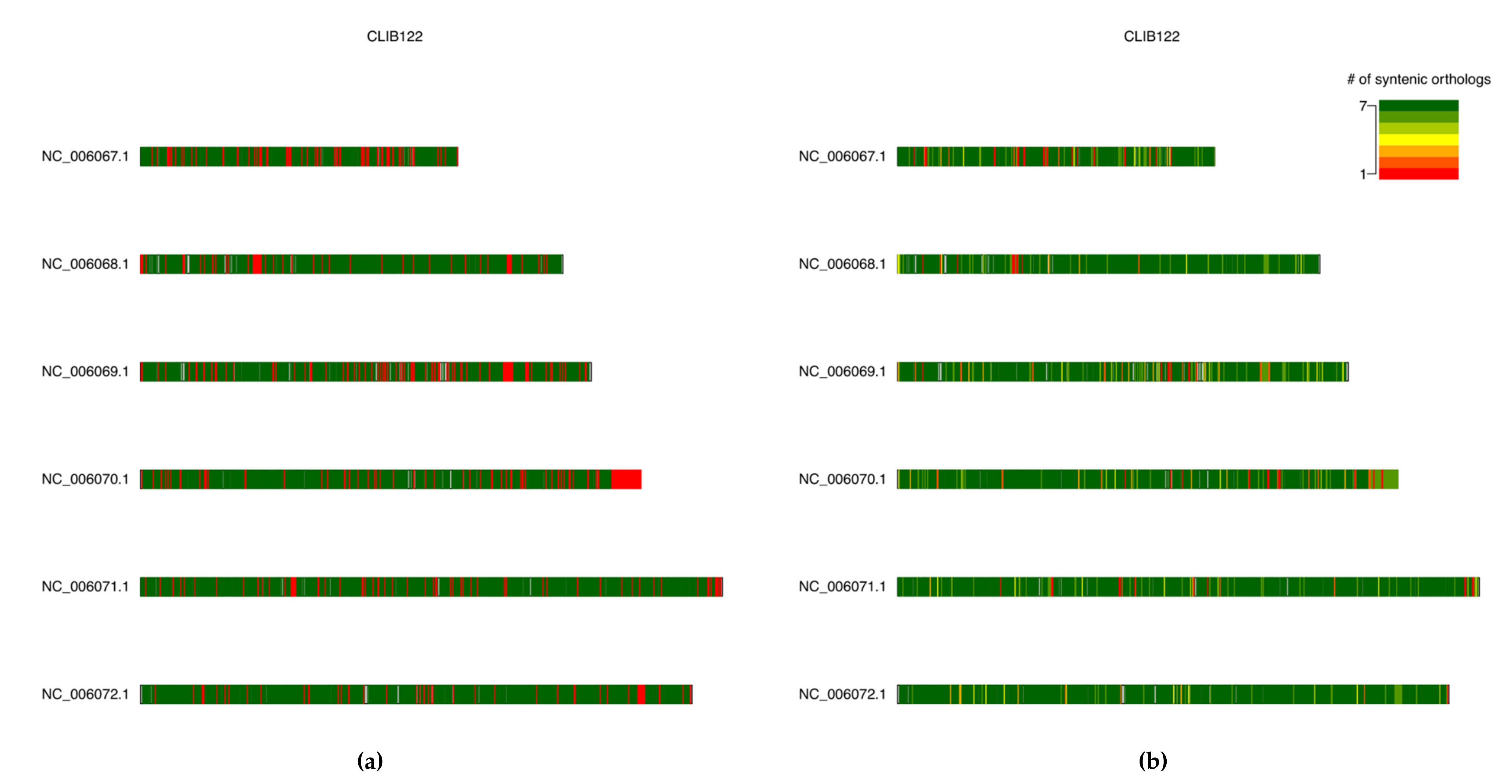 Genes 10 00521 g005 Genes 10 00521 g005