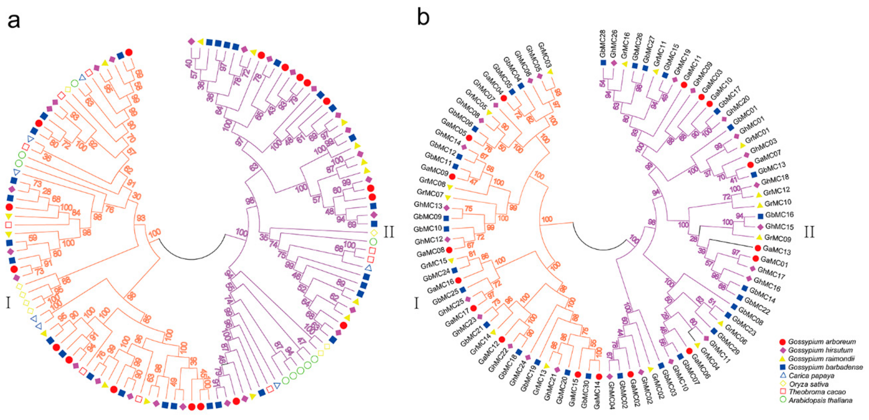 Genes 10 00527 g001 Genes 10 00527 g001