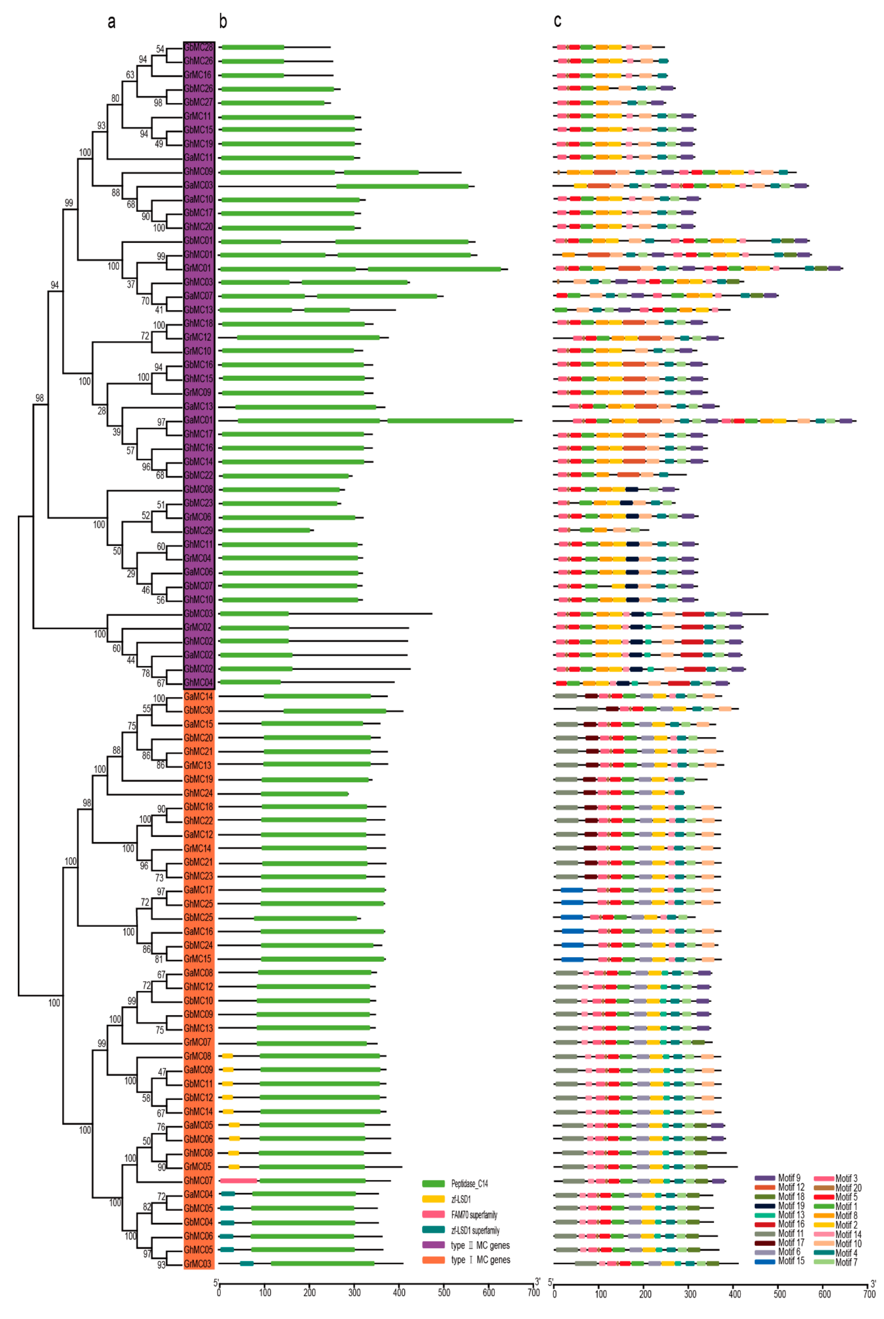 Genes 10 00527 g002 Genes 10 00527 g002