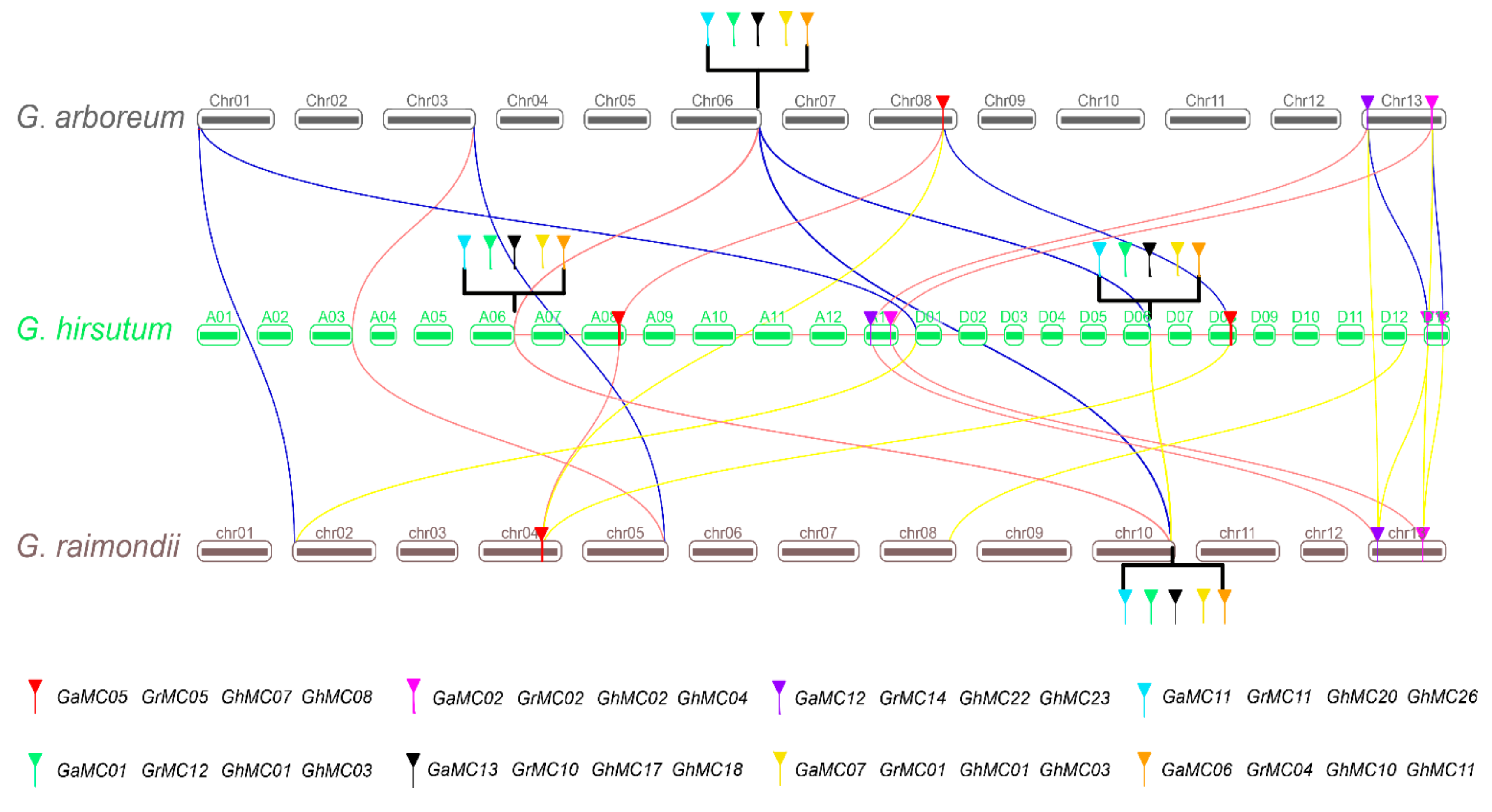Genes 10 00527 g003 Genes 10 00527 g003