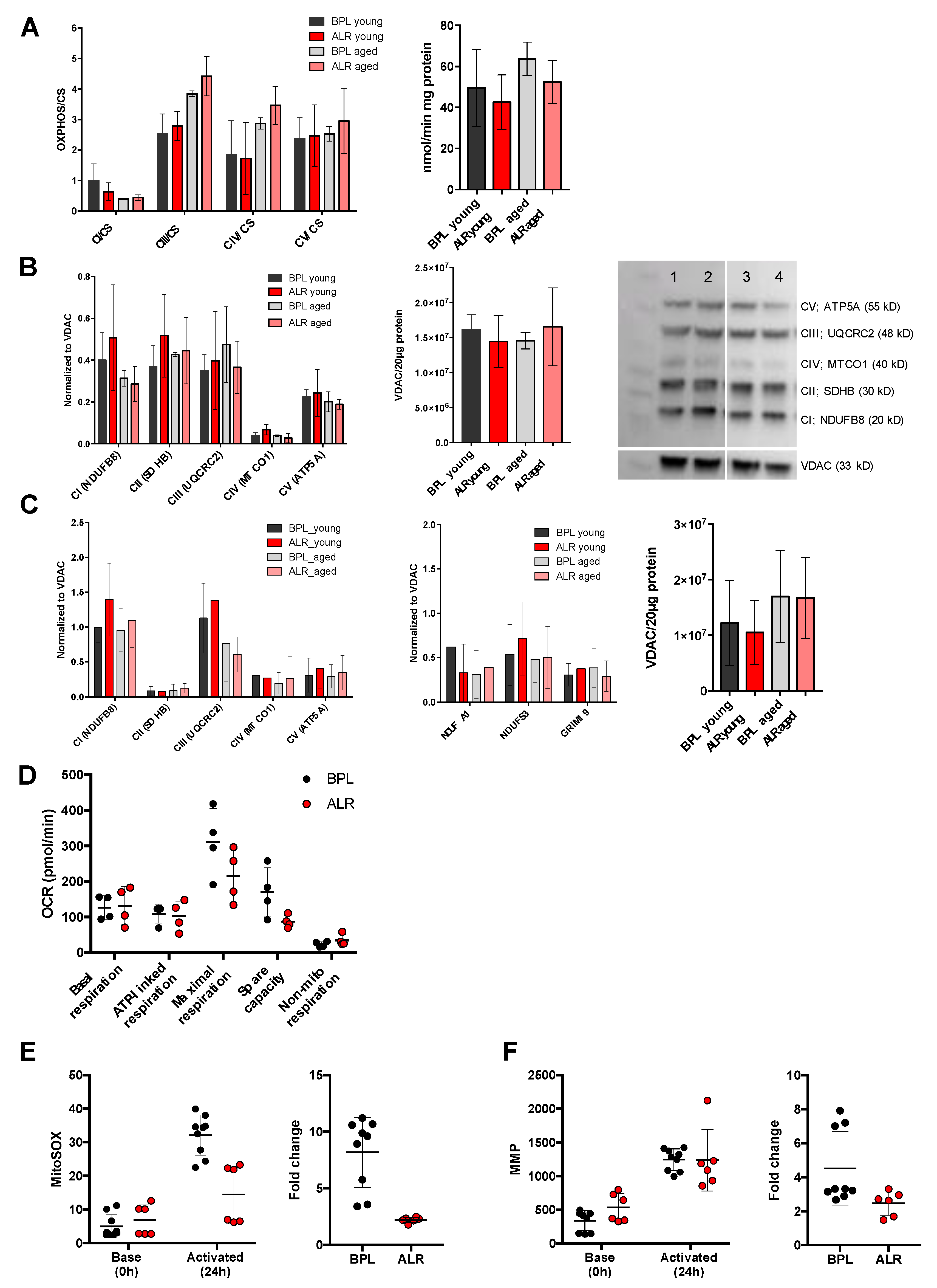 Genes 10 00532 g002