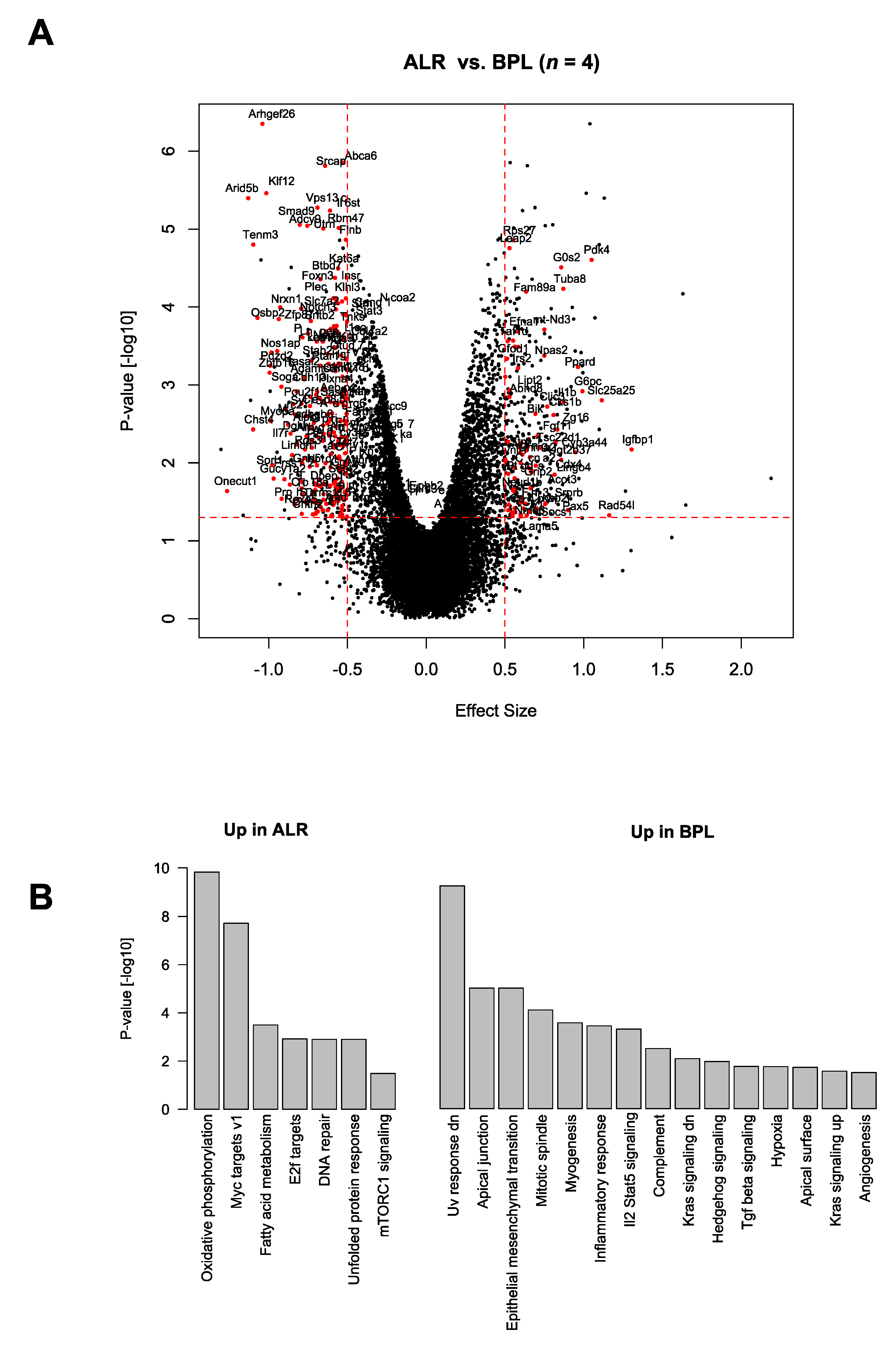 Genes 10 00532 g004